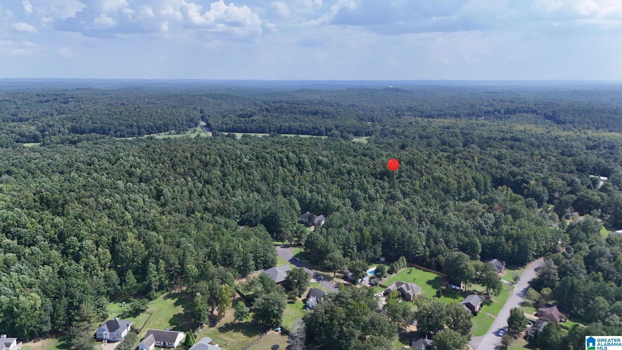 4th image of 0 Clements Road, Cottondale, AL 35453 | MLS# 21462523