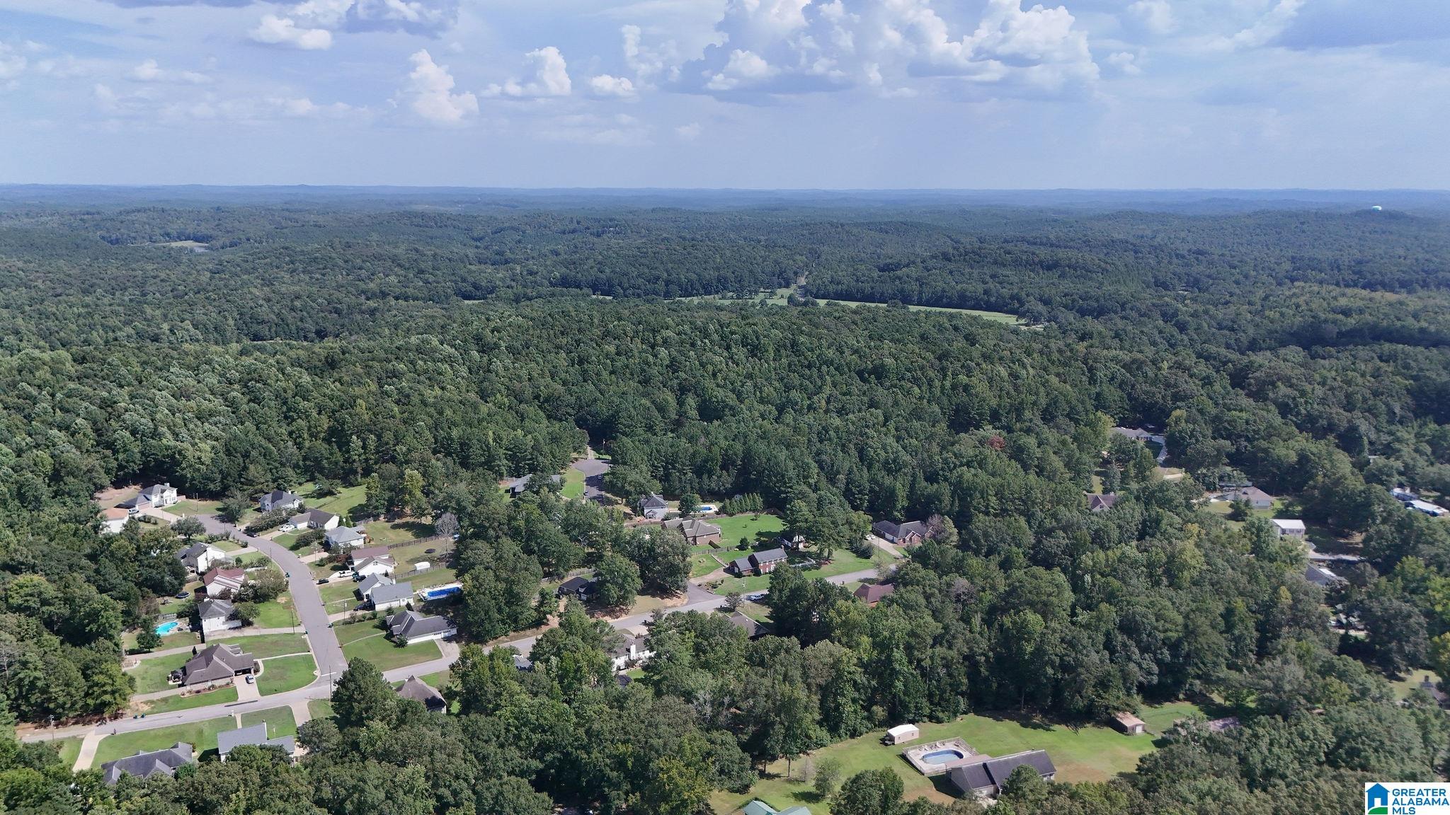 5th image of 0 Clements Road, Cottondale, AL 35453 | MLS# 21462523