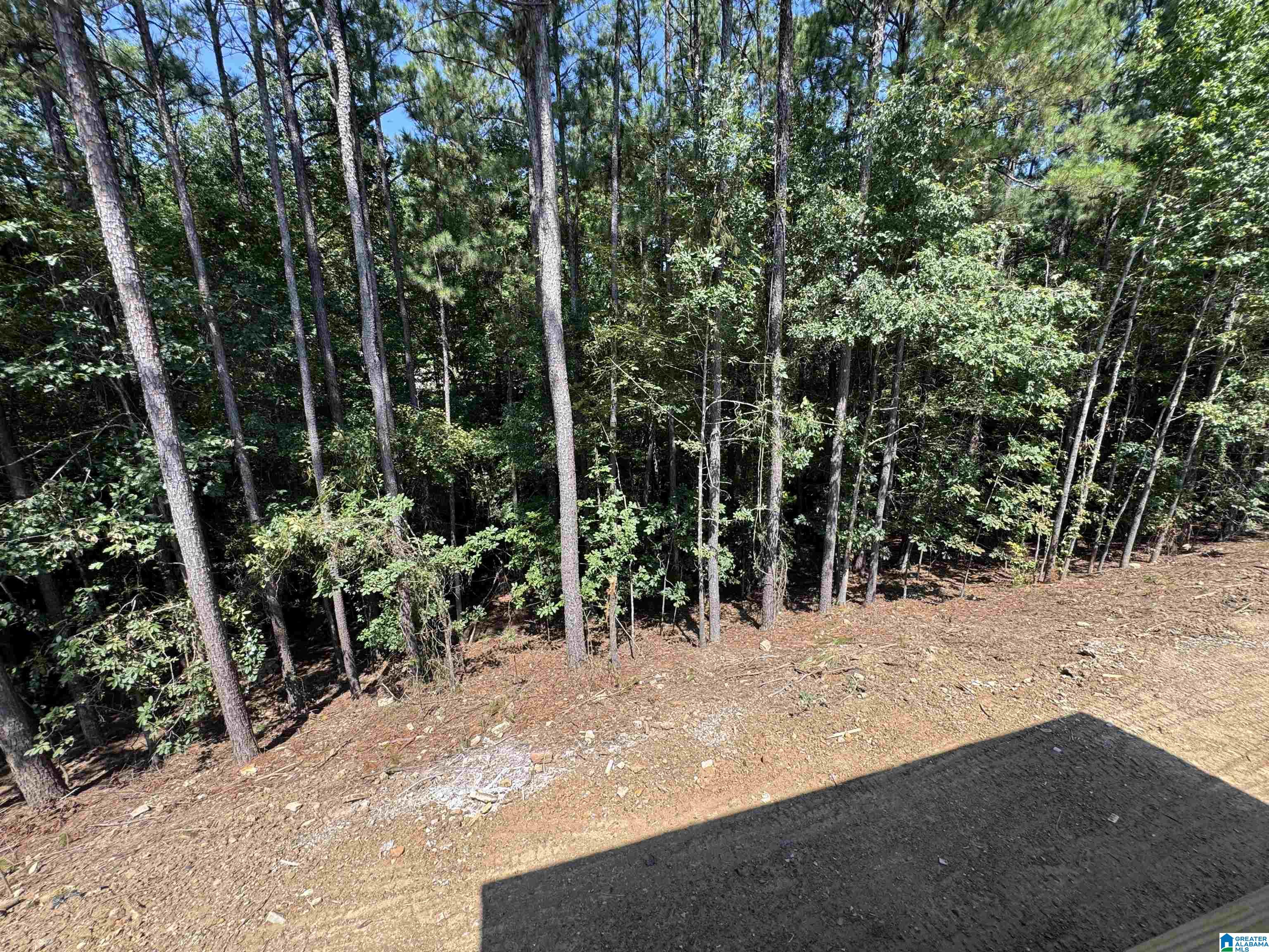 6th image of 142 Glengerry Dr, Pelham, AL 35124 | MLS# 21462531
