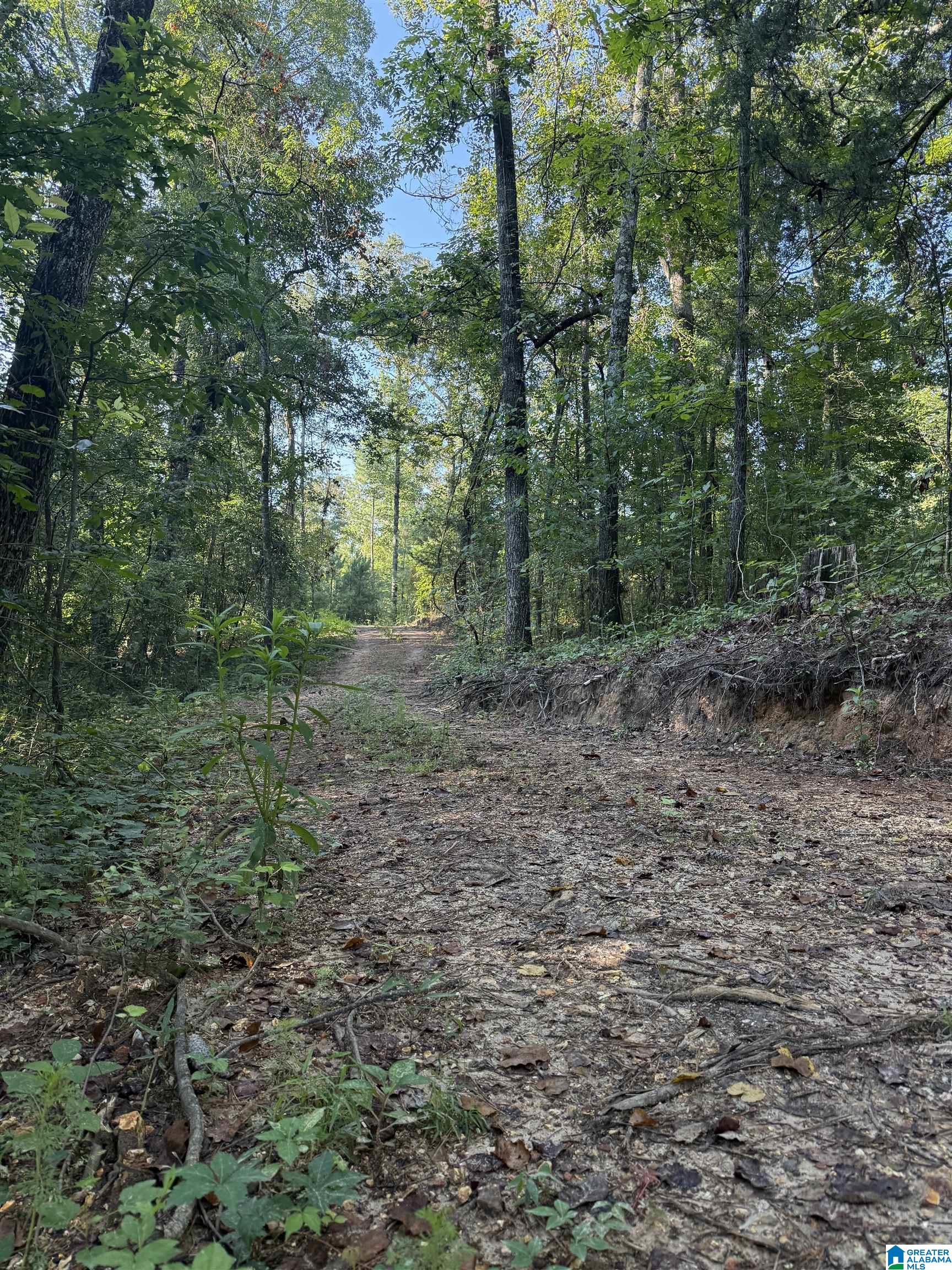 1st image of 12 Mckesie Street, Riverside, AL 35135 | MLS# 21462563