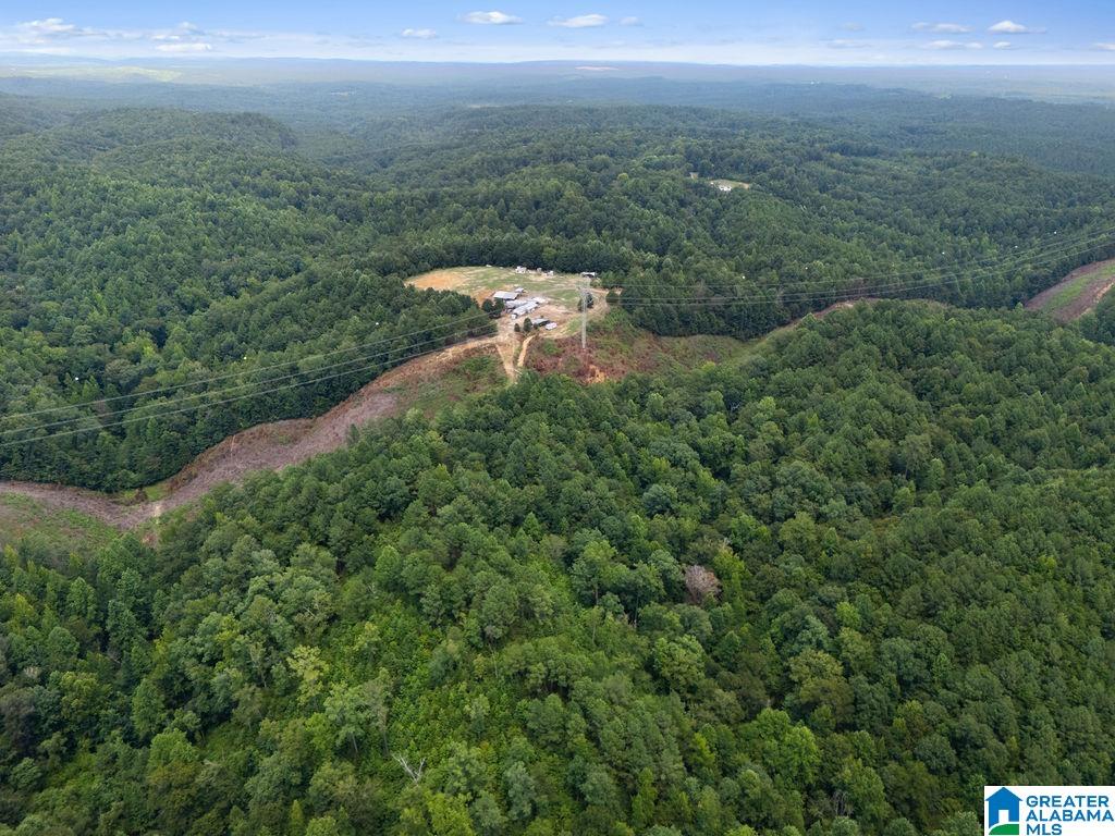 1st image of 1014 Pumpkin Center Cut Off Road, Quinton, AL 35130 | MLS# 21462564