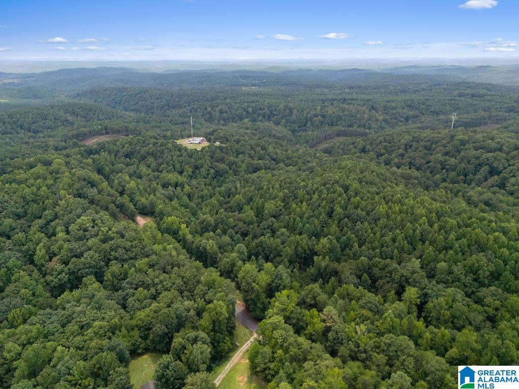 2nd image of 1014 Pumpkin Center Cut Off Road, Quinton, AL 35130 | MLS# 21462564