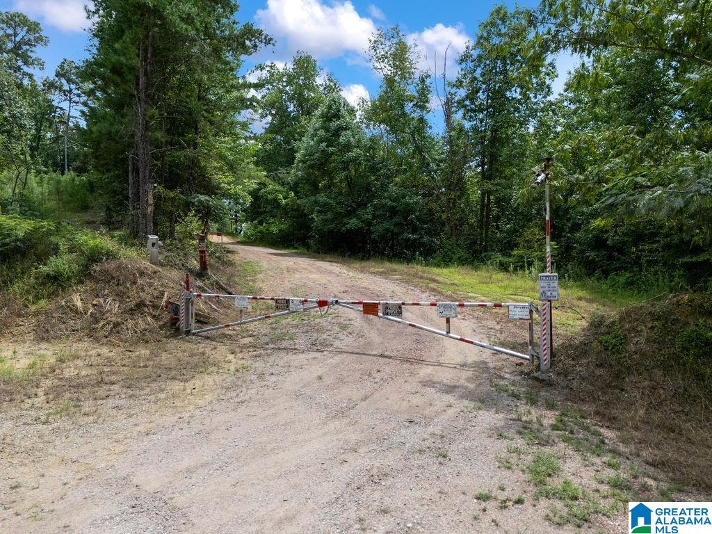 18th image of 1014 Pumpkin Center Cut Off Road, Quinton, AL 35130 | MLS# 21462564