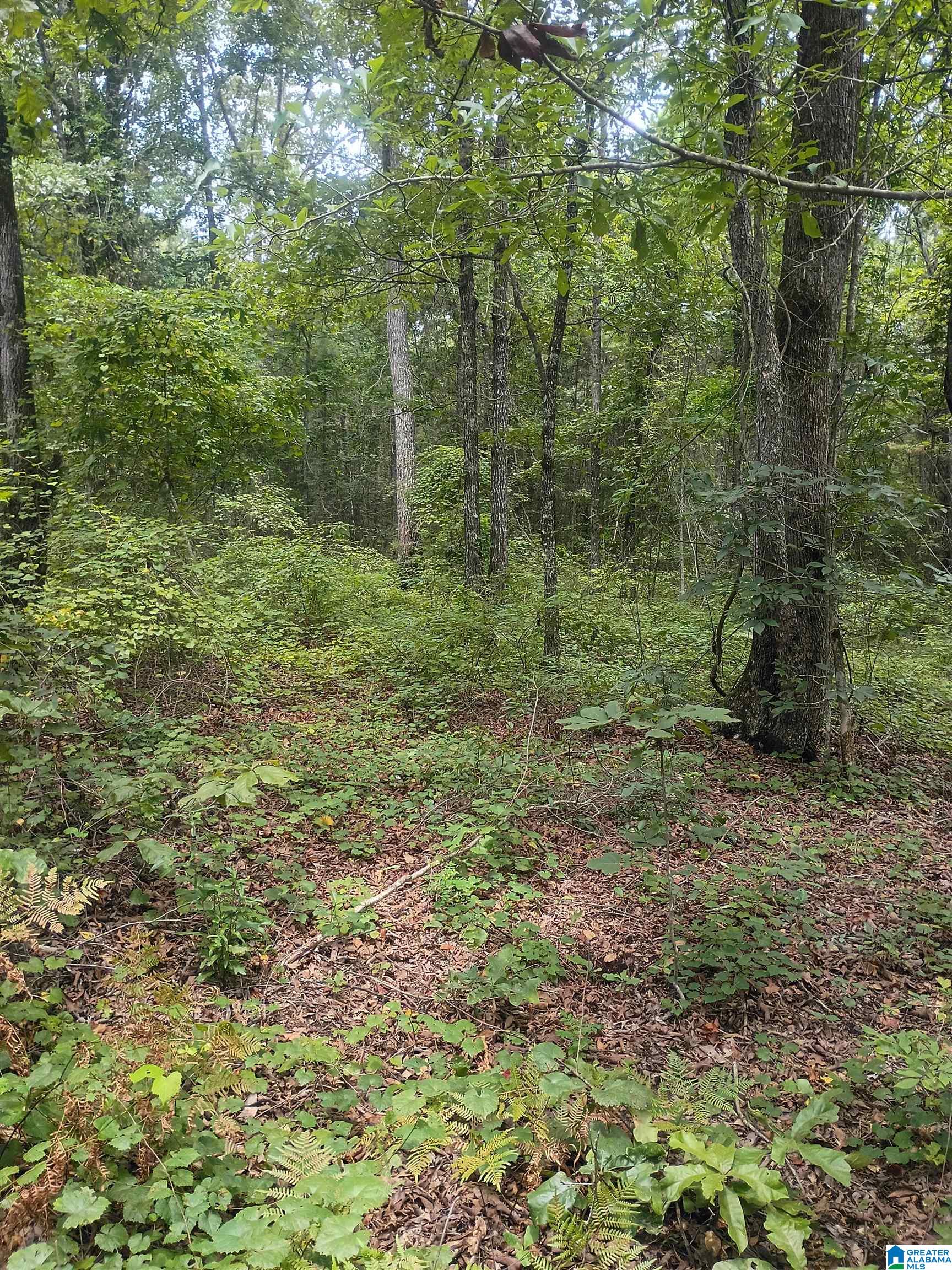 3rd image of 007 Mckesie Street, Riverside, AL 35135 | MLS# 21462582