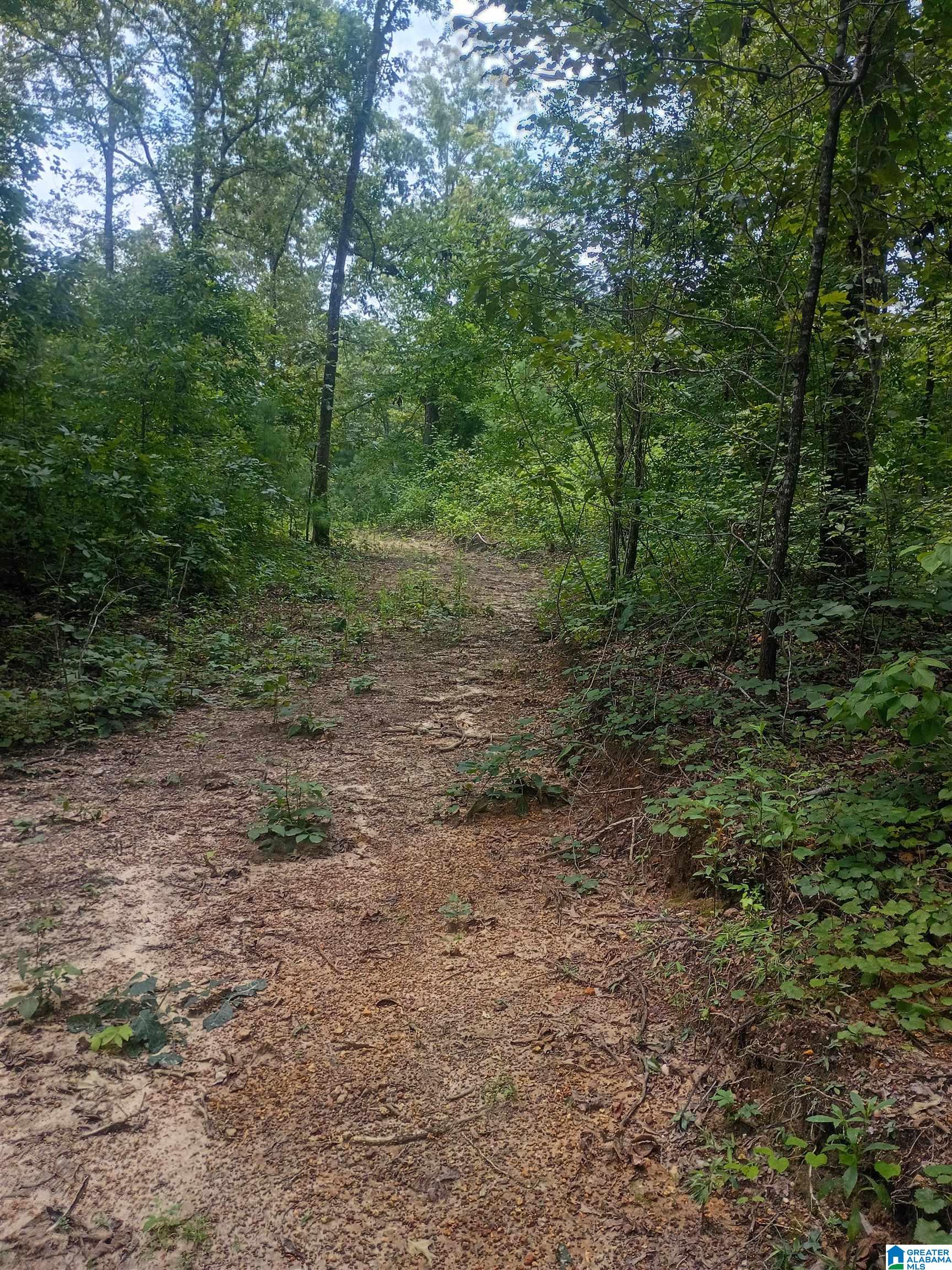4th image of 007 Mckesie Street, Riverside, AL 35135 | MLS# 21462582