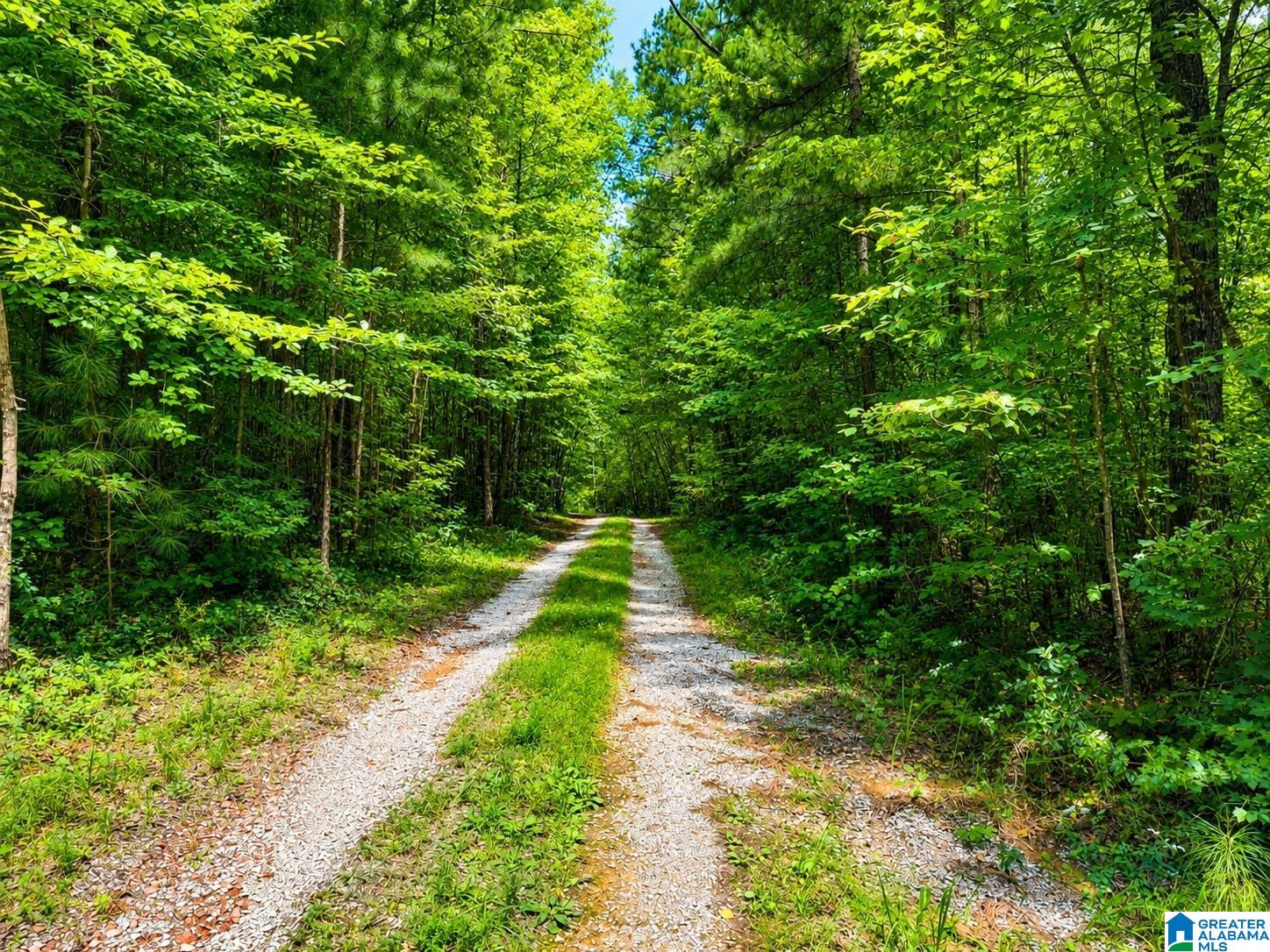 15th image of 00 Creek Road, Hayden, AL 35079 | MLS# 21462589