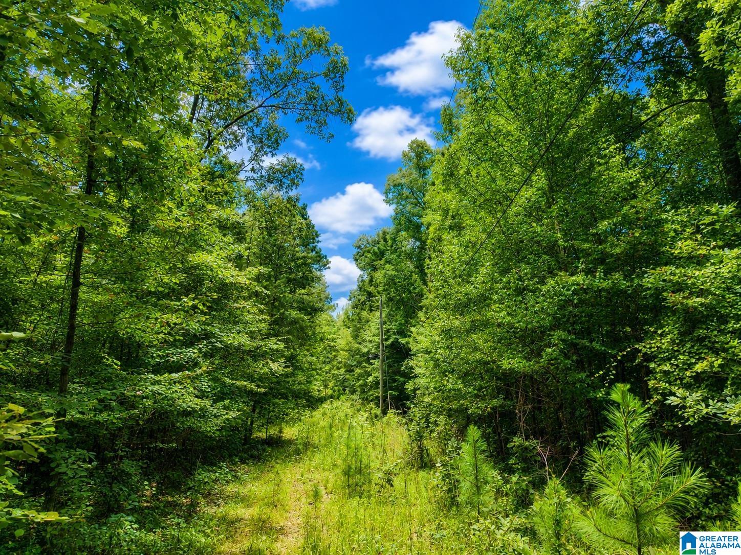 3rd image of 00 Creek Road, Hayden, AL 35079 | MLS# 21462589