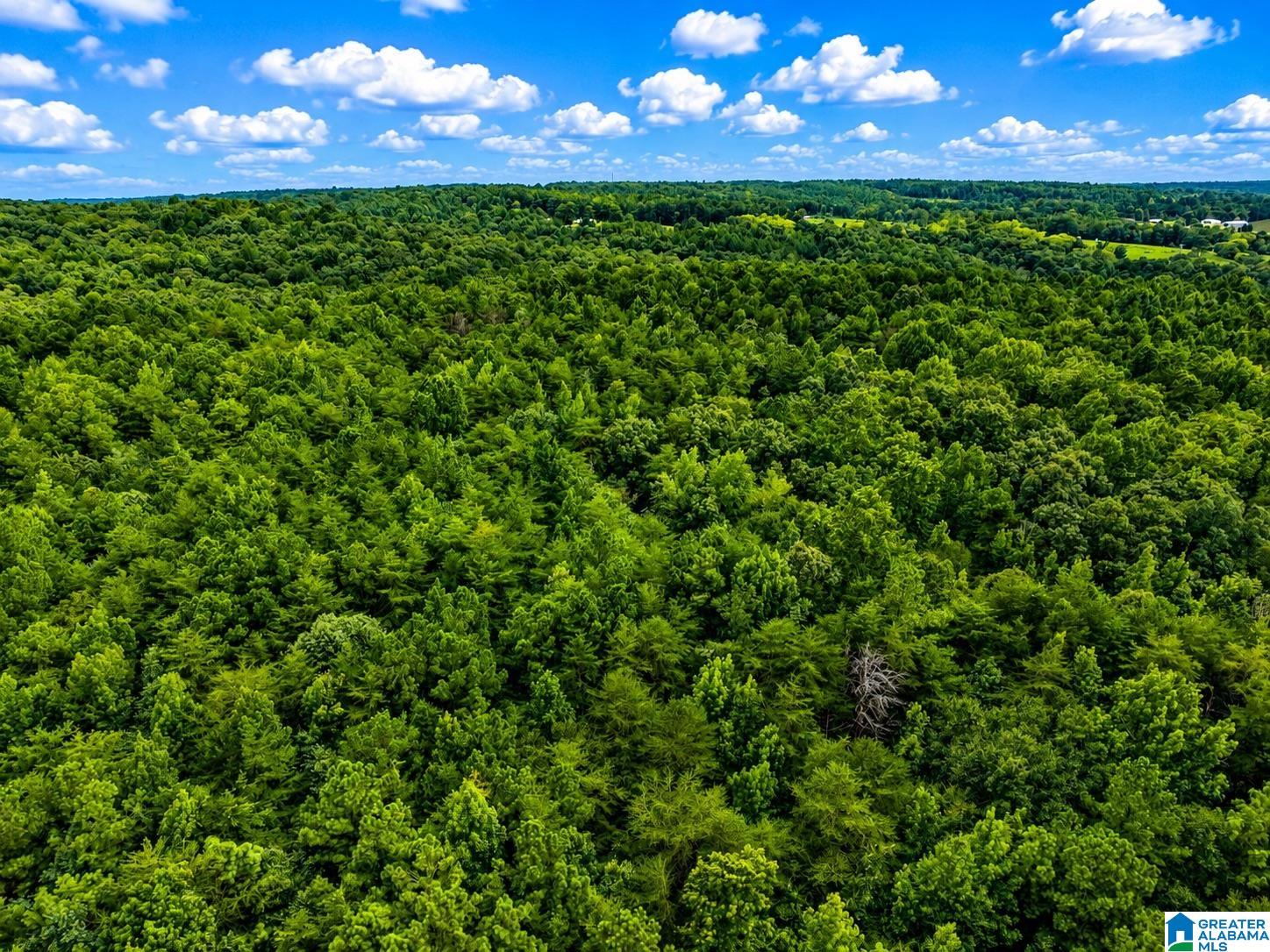 4th image of 00 Creek Road, Hayden, AL 35079 | MLS# 21462589