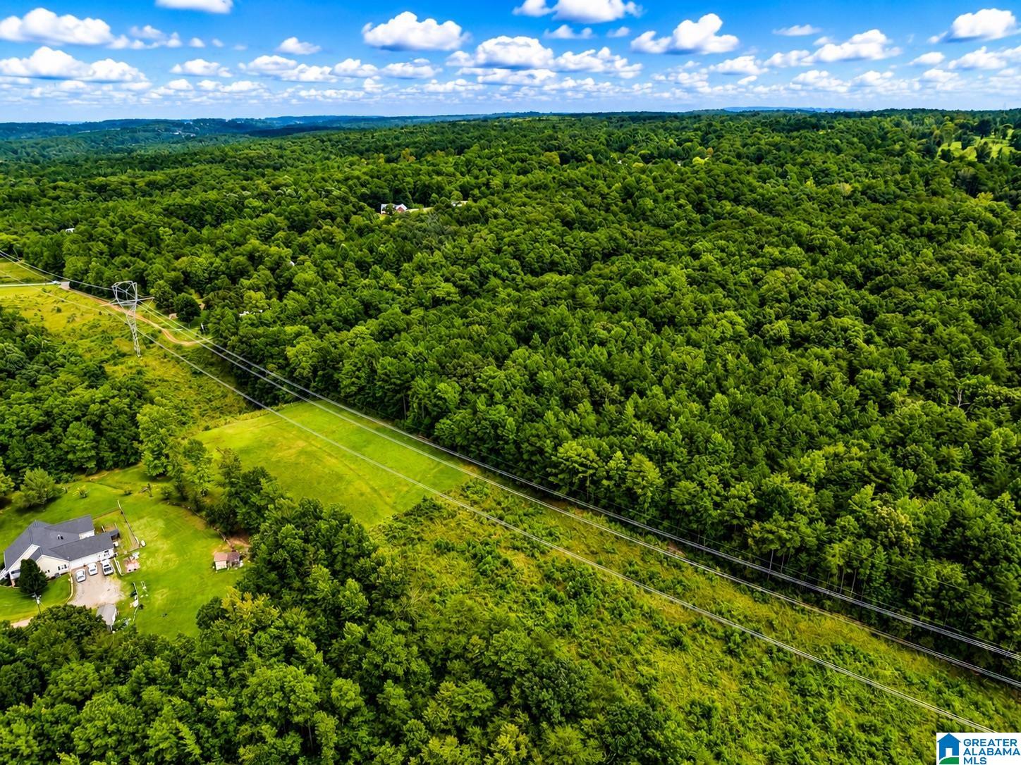 5th image of 00 Creek Road, Hayden, AL 35079 | MLS# 21462589