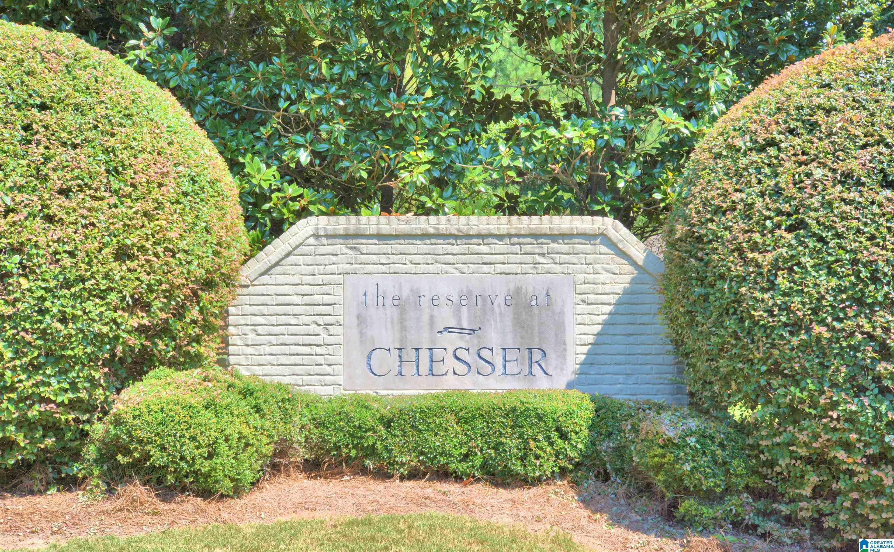 41st image of 111 Chesser Reserve Dr, Chelsea, AL 35043 | MLS# 21462592