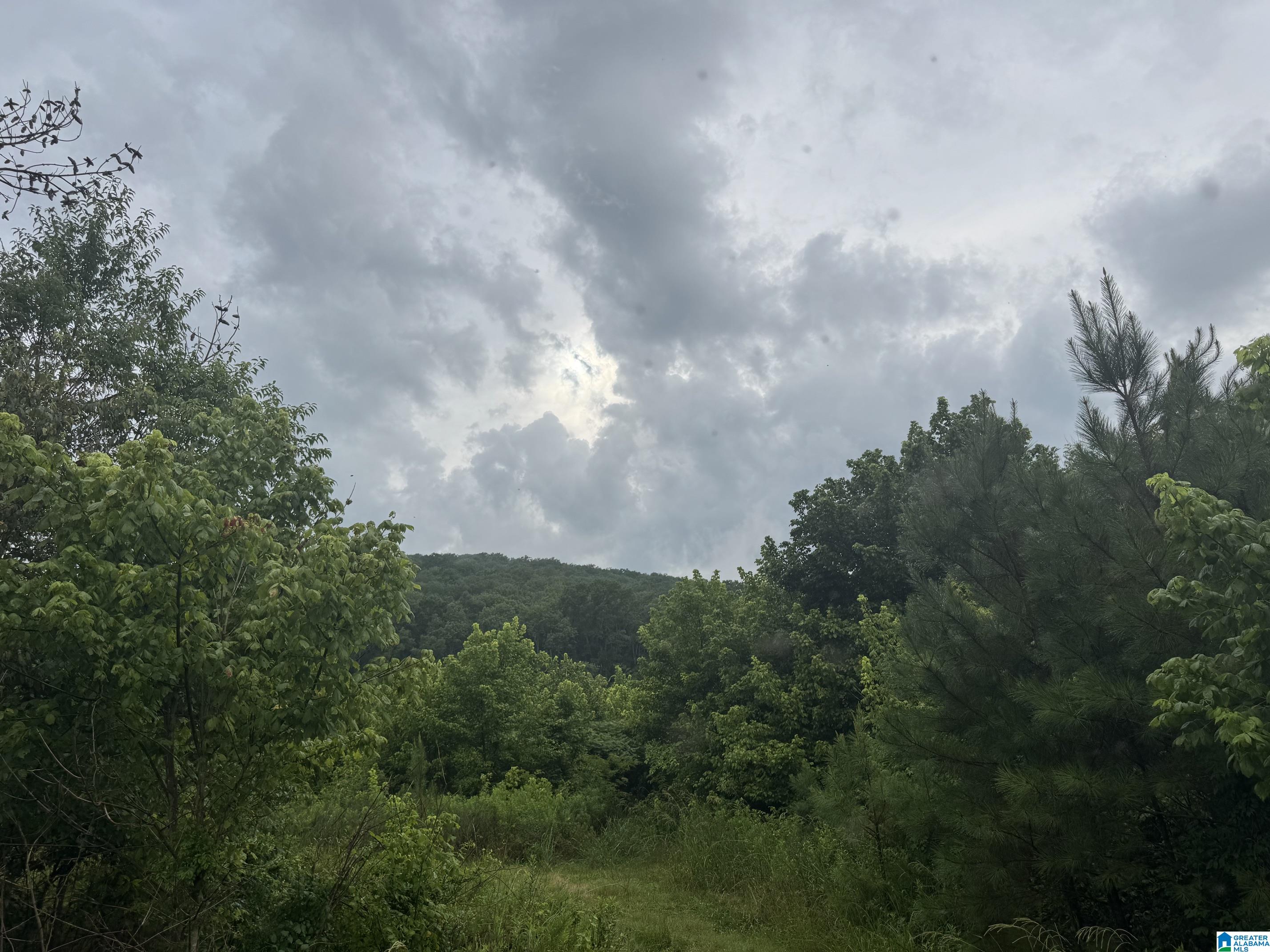 23rd image of Tbd Guinns Cove Road, Hayden, AL 35079 | MLS# 21462619