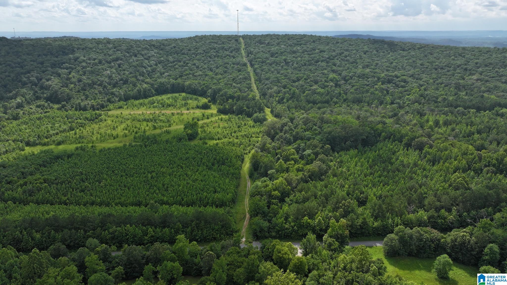 4th image of Tbd Guinns Cove Road, Hayden, AL 35079 | MLS# 21462619