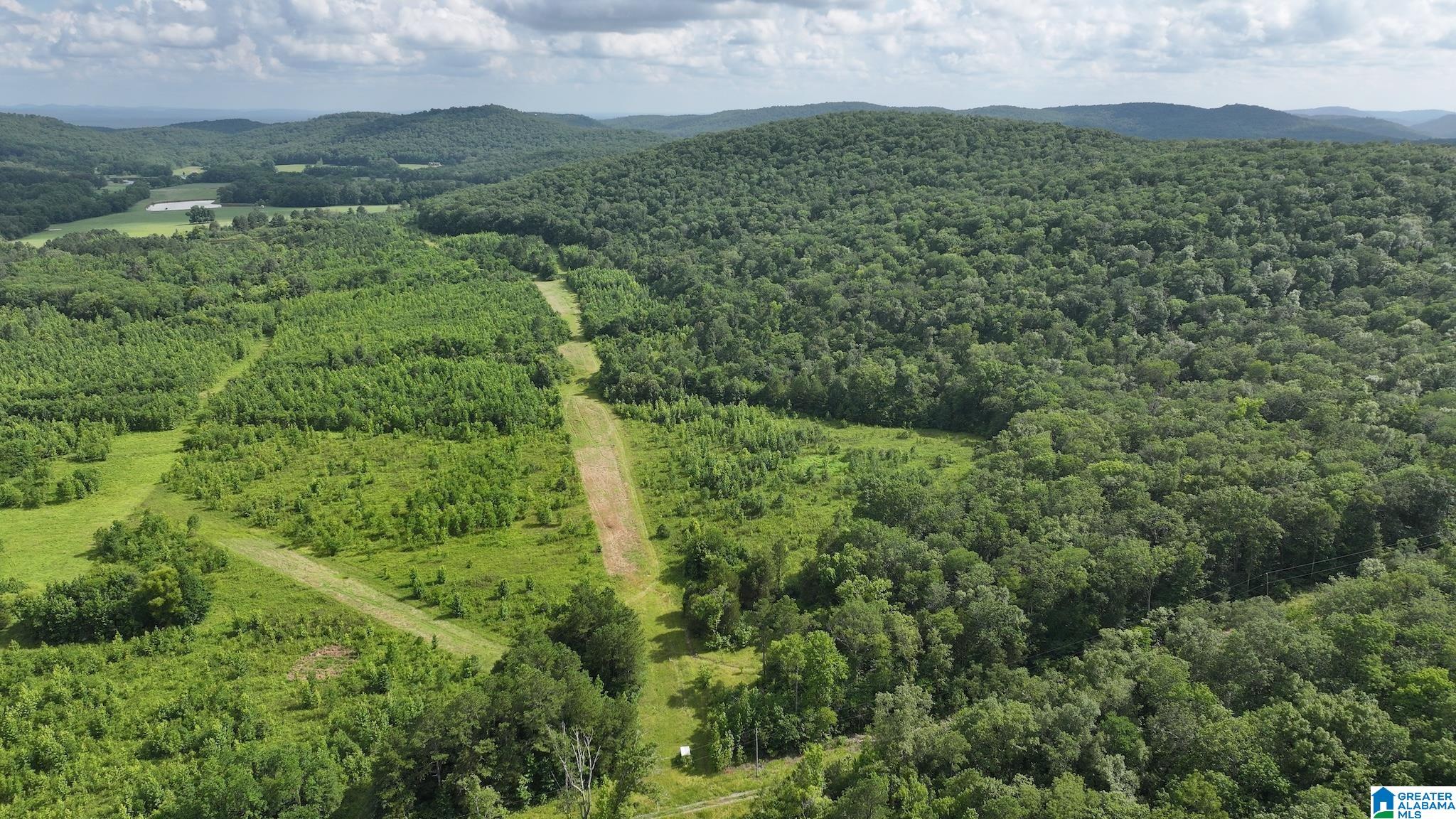 5th image of Tbd Guinns Cove Road, Hayden, AL 35079 | MLS# 21462619