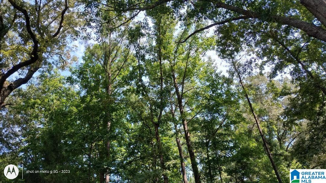1st image of Lake View Dr, Lake View, AL 35111 | MLS# 21462645