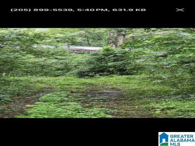 Photo 11 of Sale Pending at 5001 Maytown Church Rd, Mulga, AL 35118 | MLS# 21462655 | Listing updated on 2026-08-22