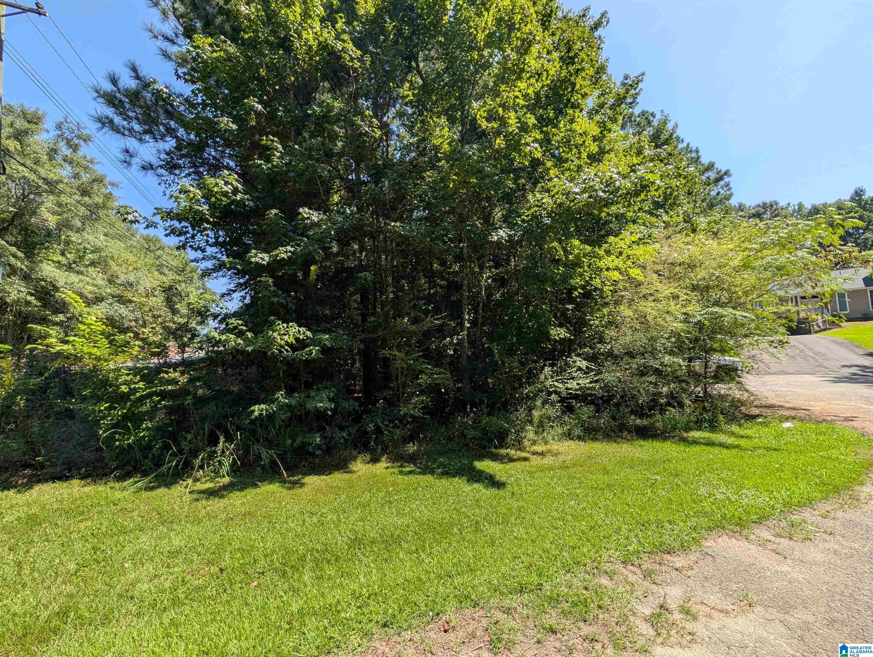 Photo 1 of Land for sale at 25 Lynngate Cir, Cropwell, AL 35054 | MLS# 21462739 | Listing updated on 2026-08-20