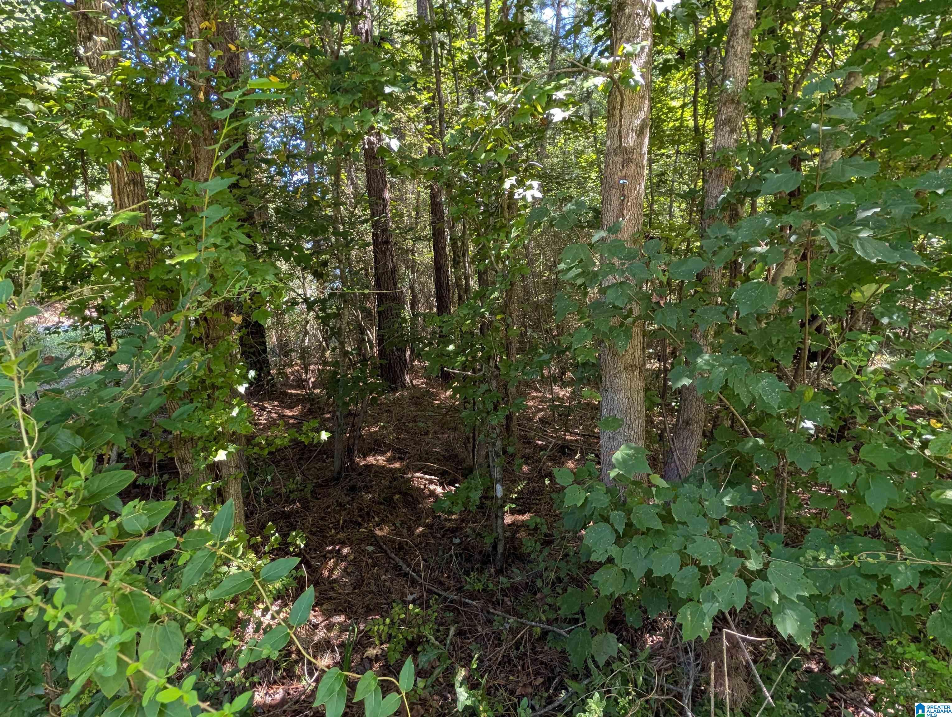 Photo 3 of Land for sale at 25 Lynngate Cir, Cropwell, AL 35054 | MLS# 21462739 | Listing updated on 2026-08-20