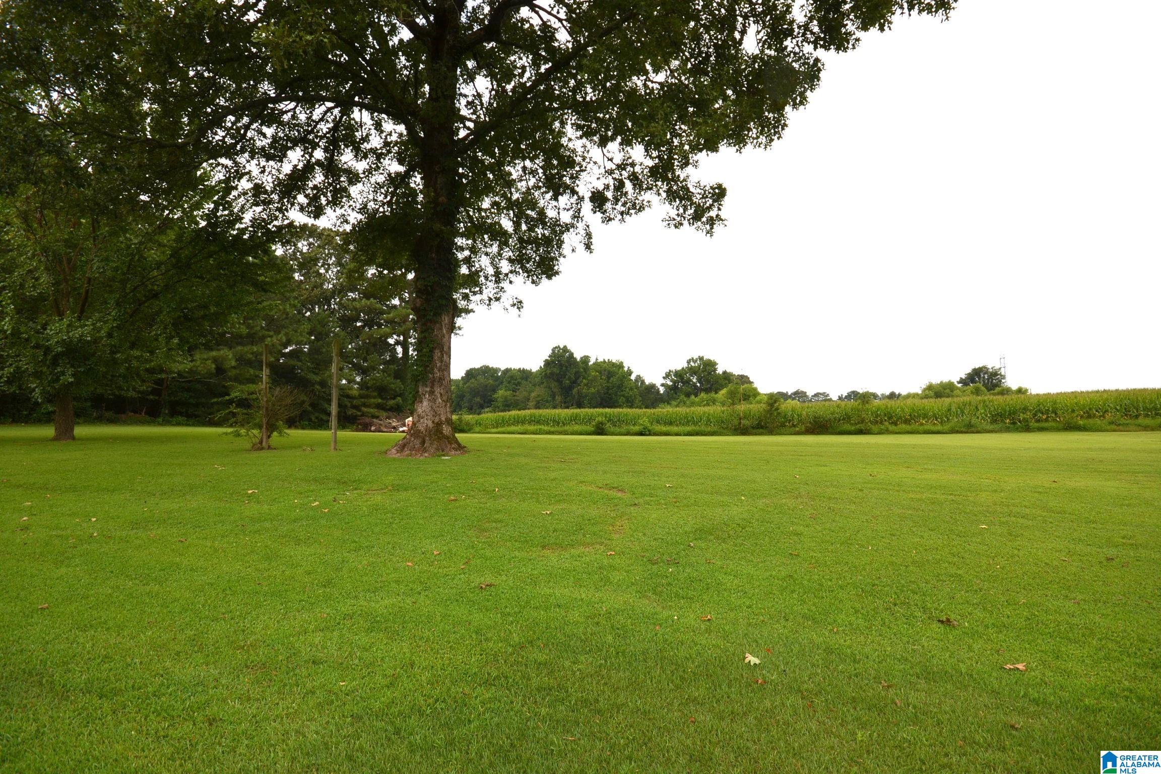 3rd image of 4433 County Road 1223, Vinemont, AL 35179 | MLS# 21462830