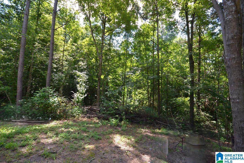 2nd image of 659 County Road 935, Crane Hill, AL 35053 | MLS# 21462833