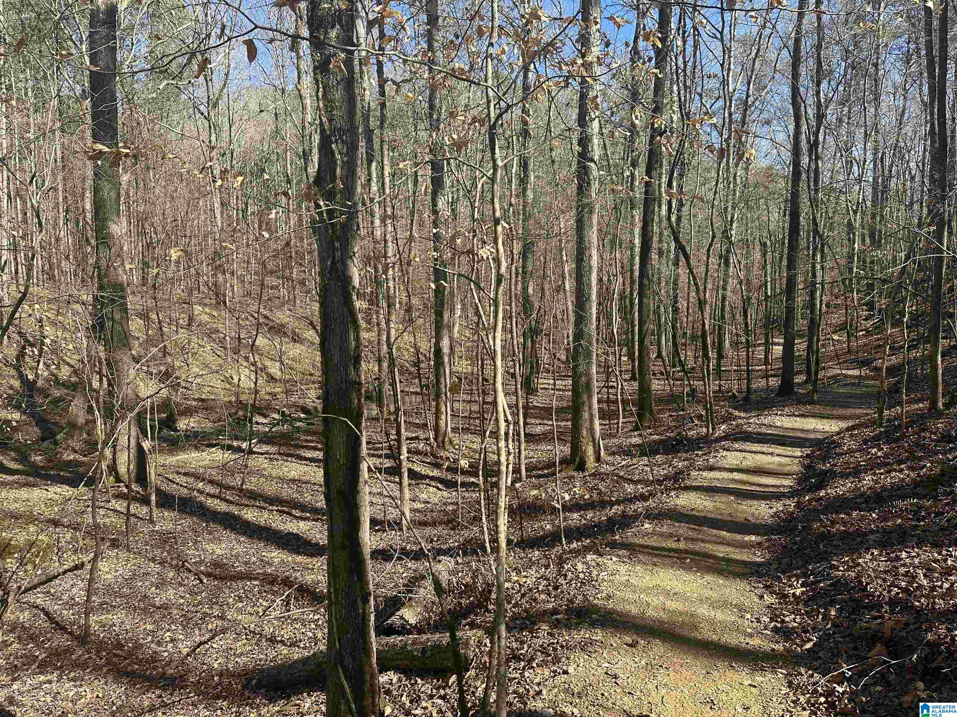 48th image of 3001 Wohali Ridge, Leeds, AL 35094 | MLS# 21462862