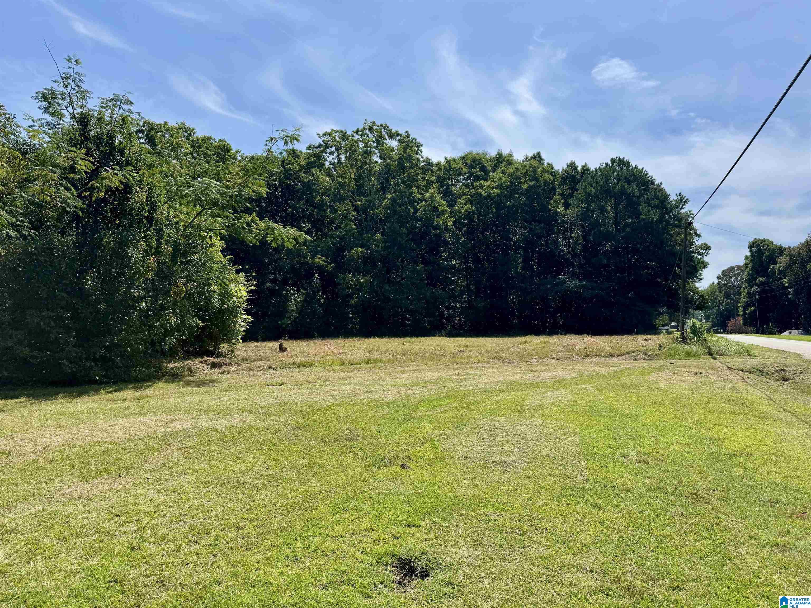 2nd image of 775 County Road 64, Woodland, AL 36280 | MLS# 21462888