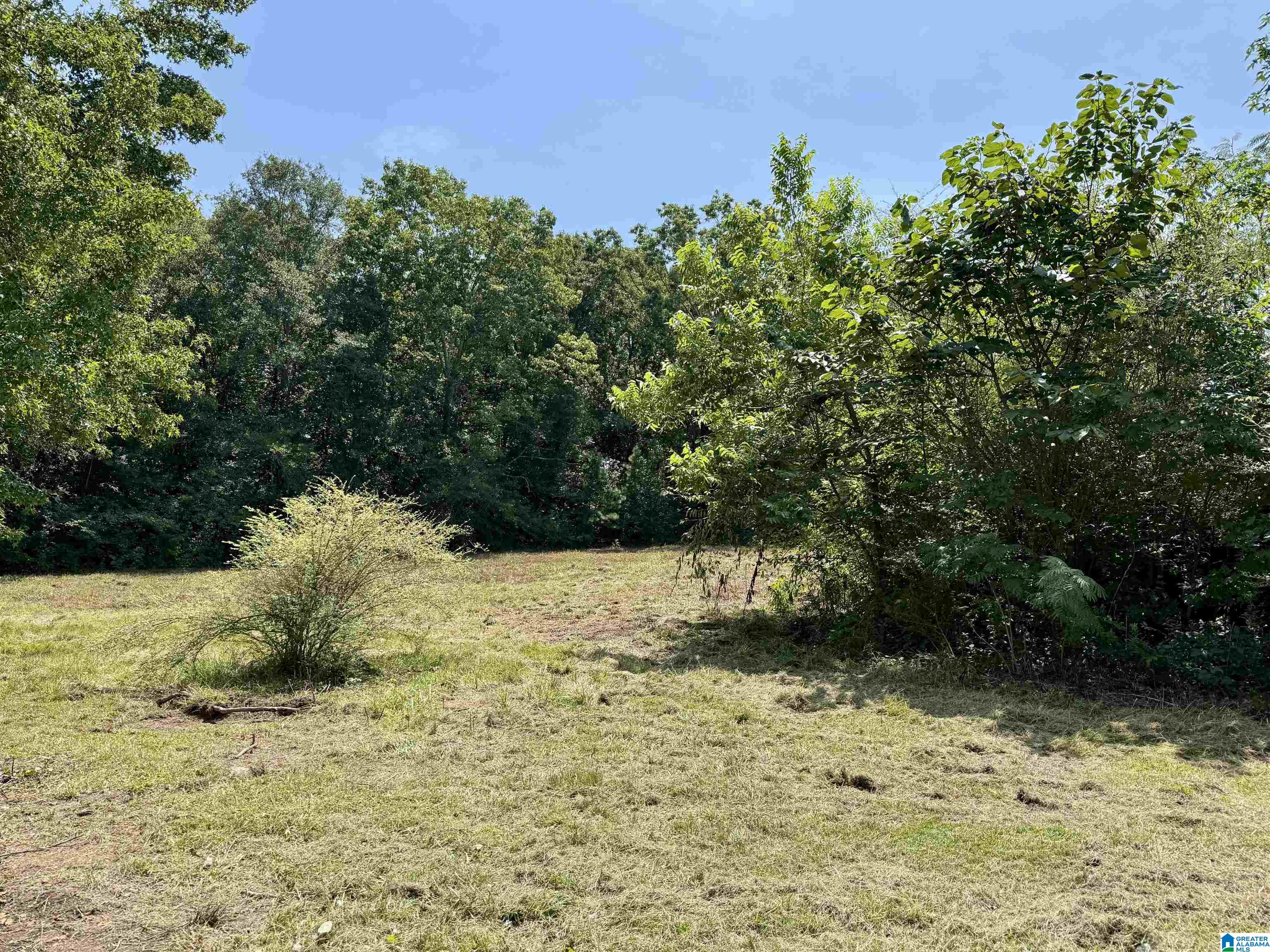 3rd image of 775 County Road 64, Woodland, AL 36280 | MLS# 21462888