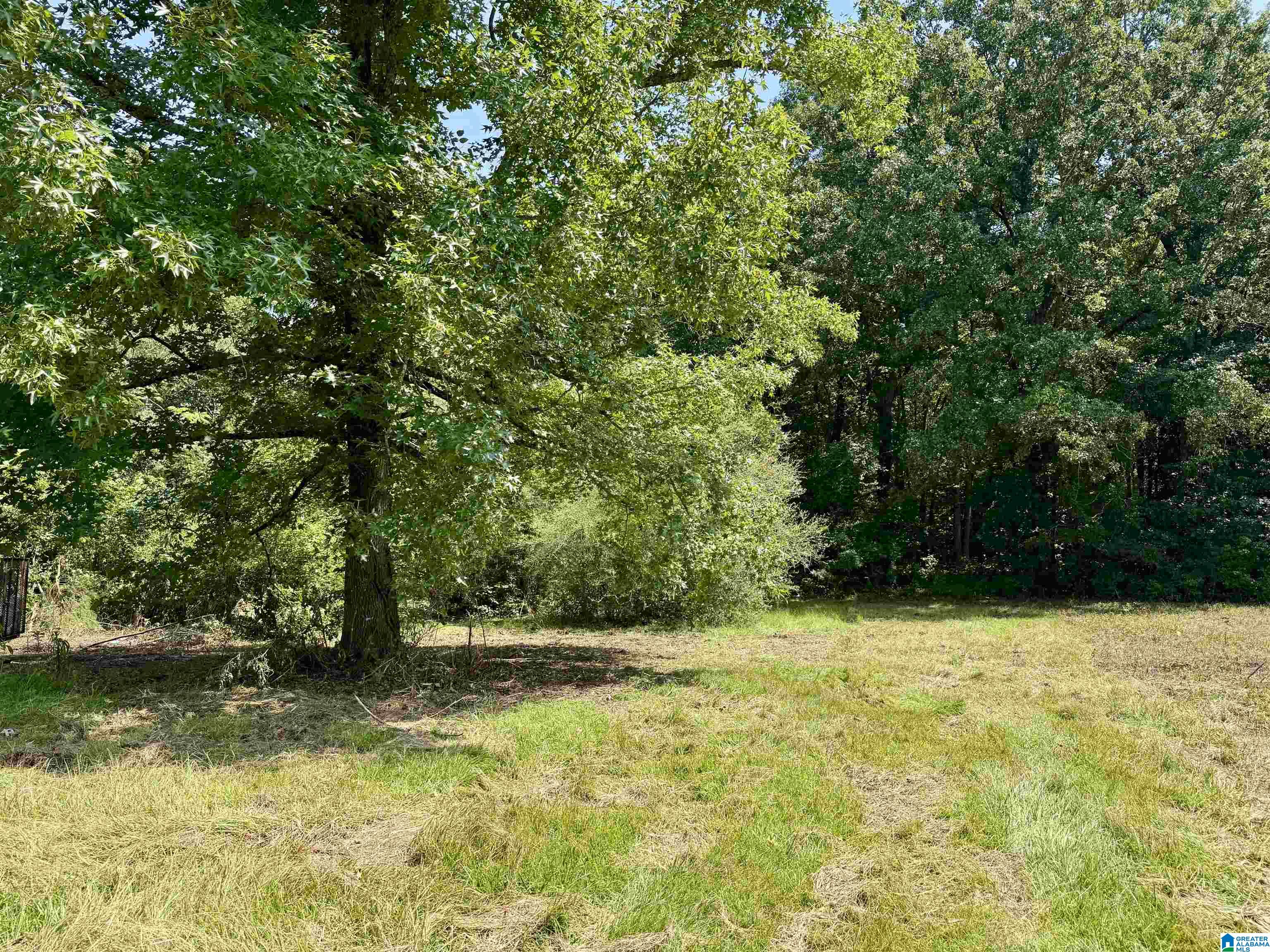 4th image of 775 County Road 64, Woodland, AL 36280 | MLS# 21462888