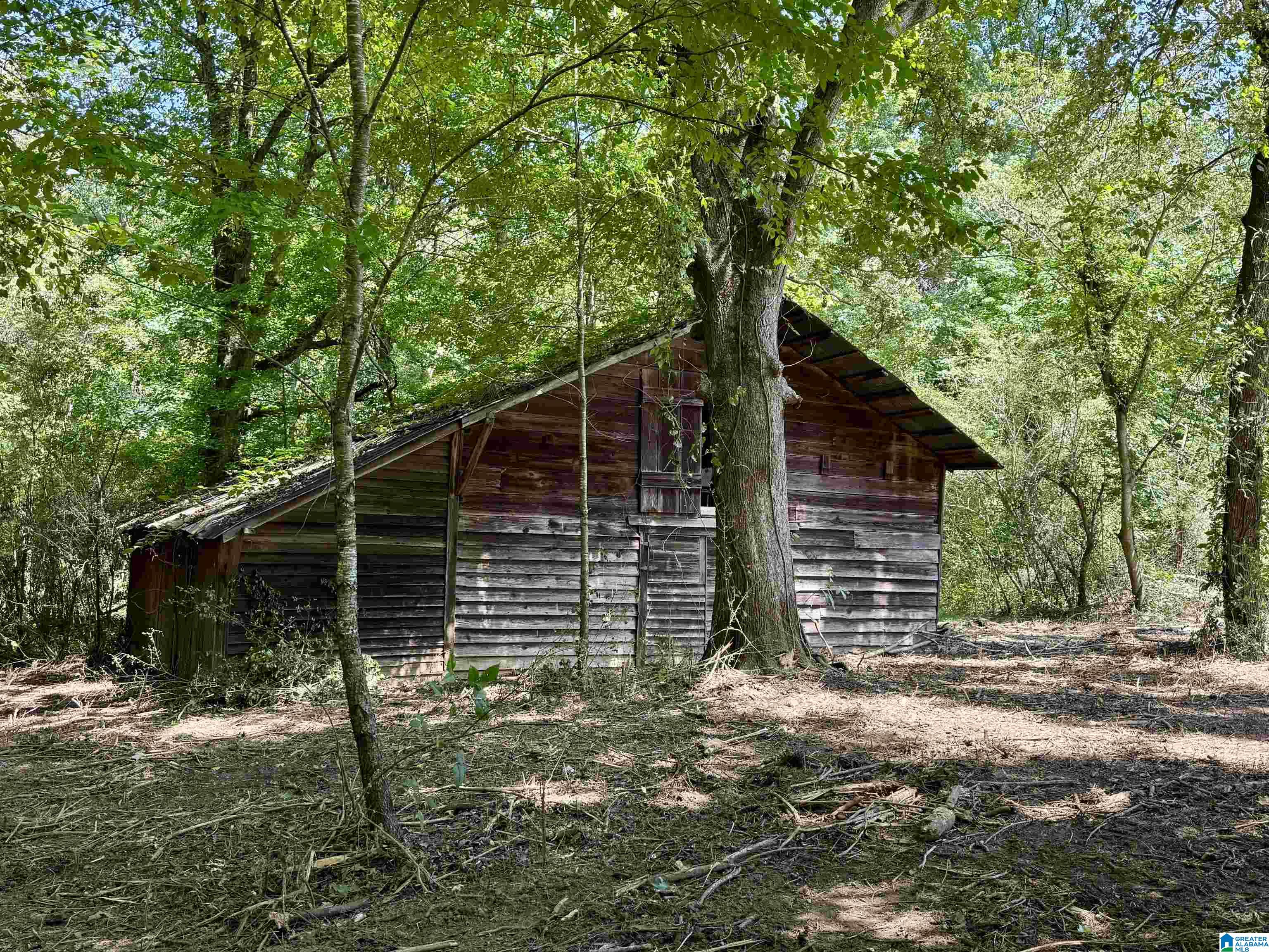 5th image of 775 County Road 64, Woodland, AL 36280 | MLS# 21462888