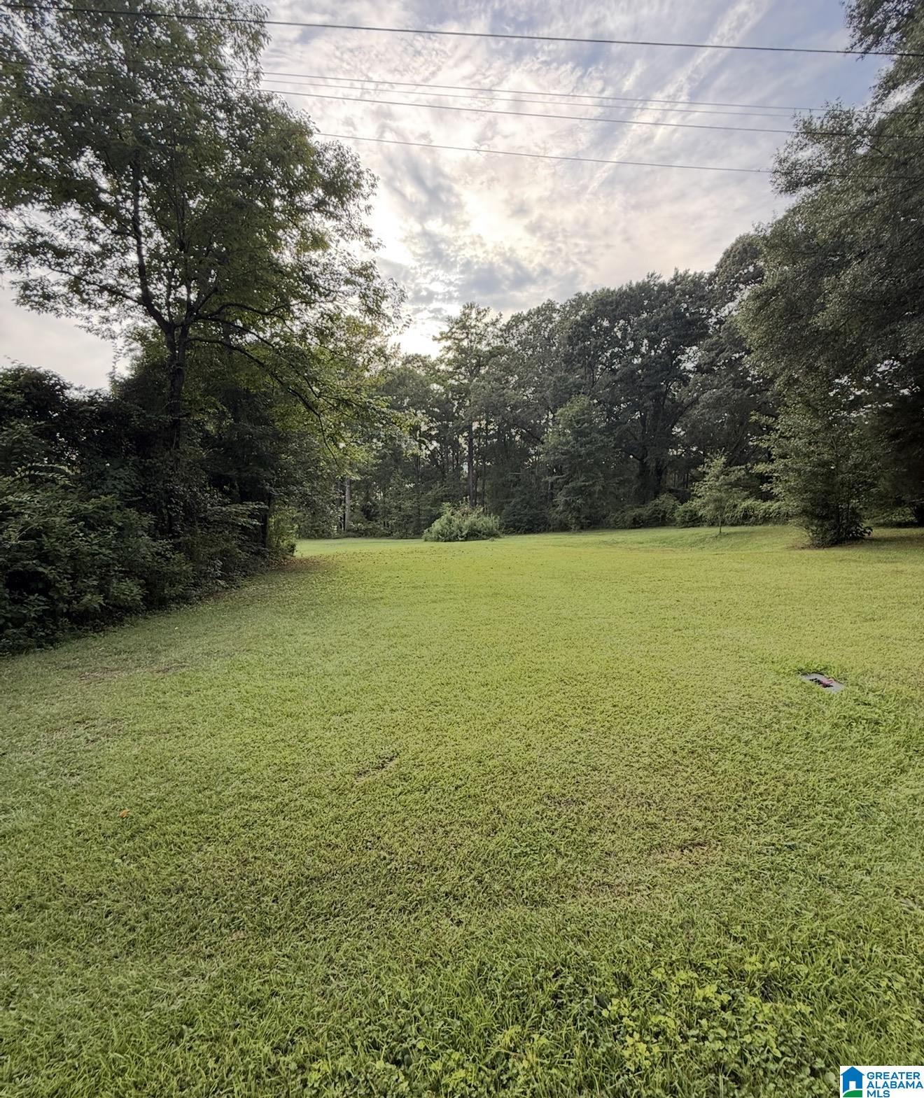 Photo 3 of Land for sale at 410 River Dr, Wilsonville, AL 35186 | MLS# 21462898 | Listing updated on 2026-09-13