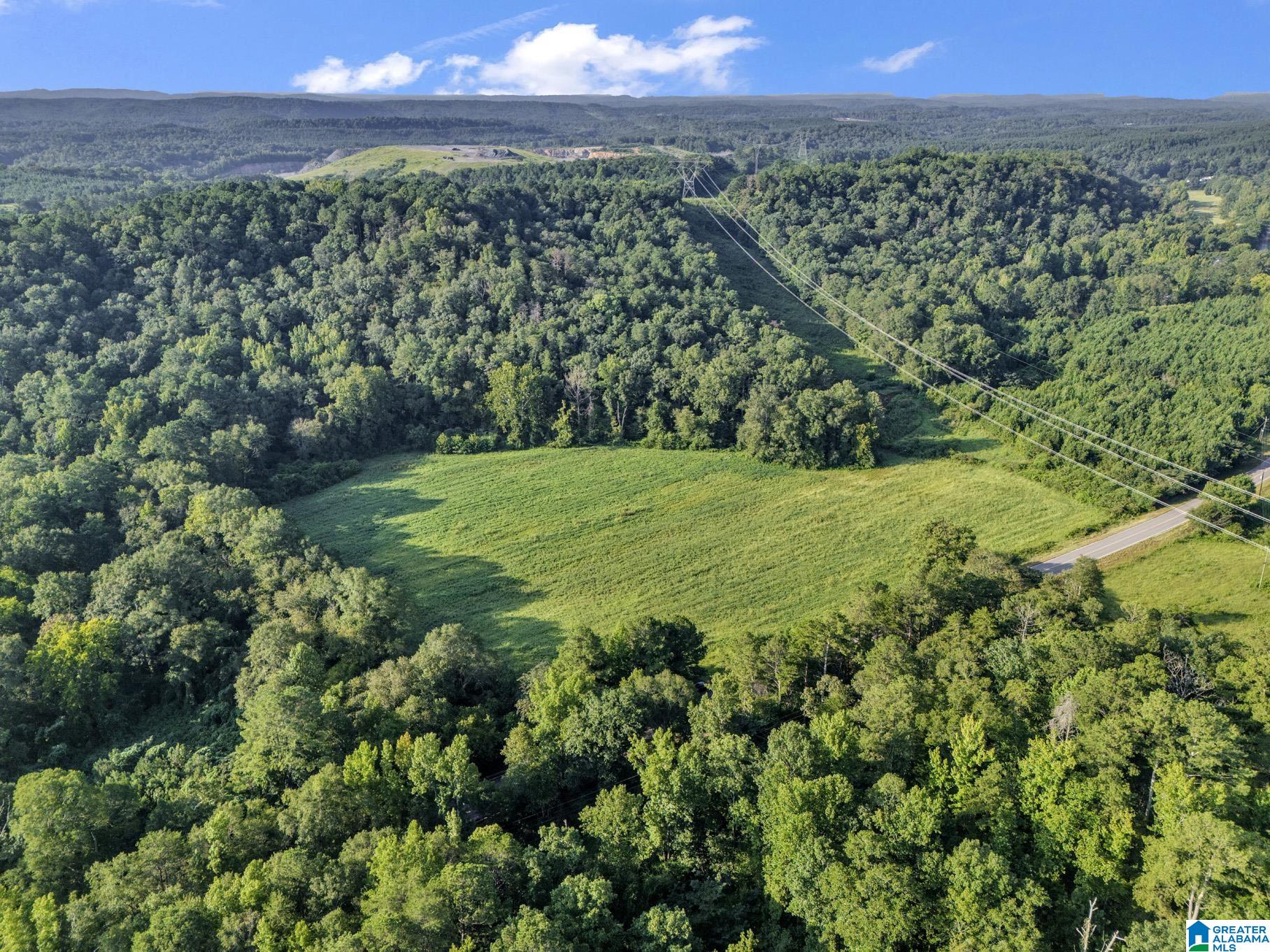 1st image of 8121 River Road, Warrior, AL 35180 | MLS# 21462909