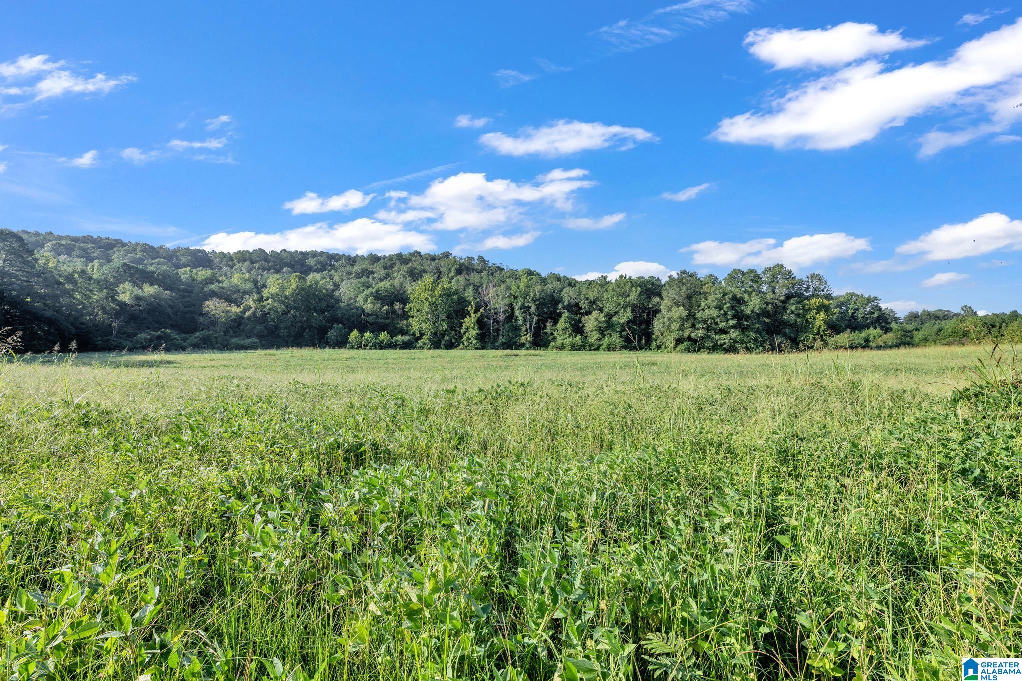3rd image of 8121 River Road, Warrior, AL 35180 | MLS# 21462909