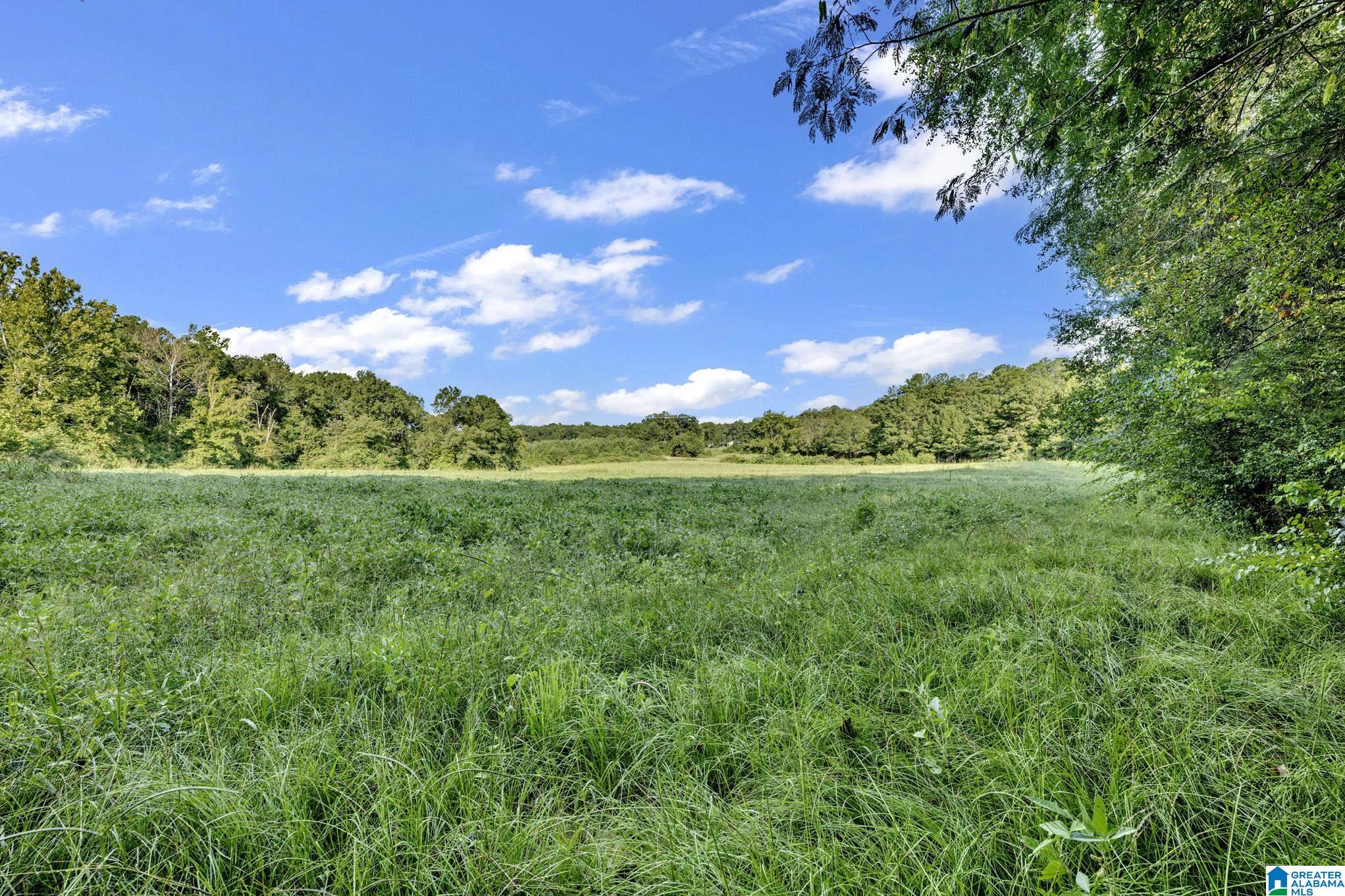 4th image of 8121 River Road, Warrior, AL 35180 | MLS# 21462909