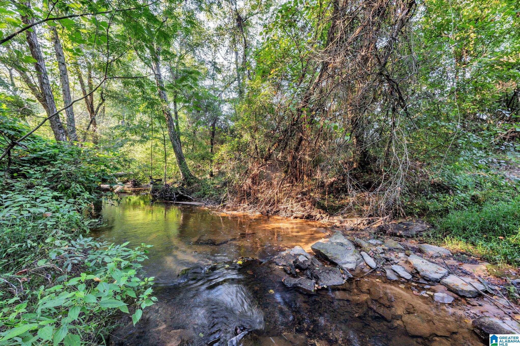 5th image of 8121 River Road, Warrior, AL 35180 | MLS# 21462909