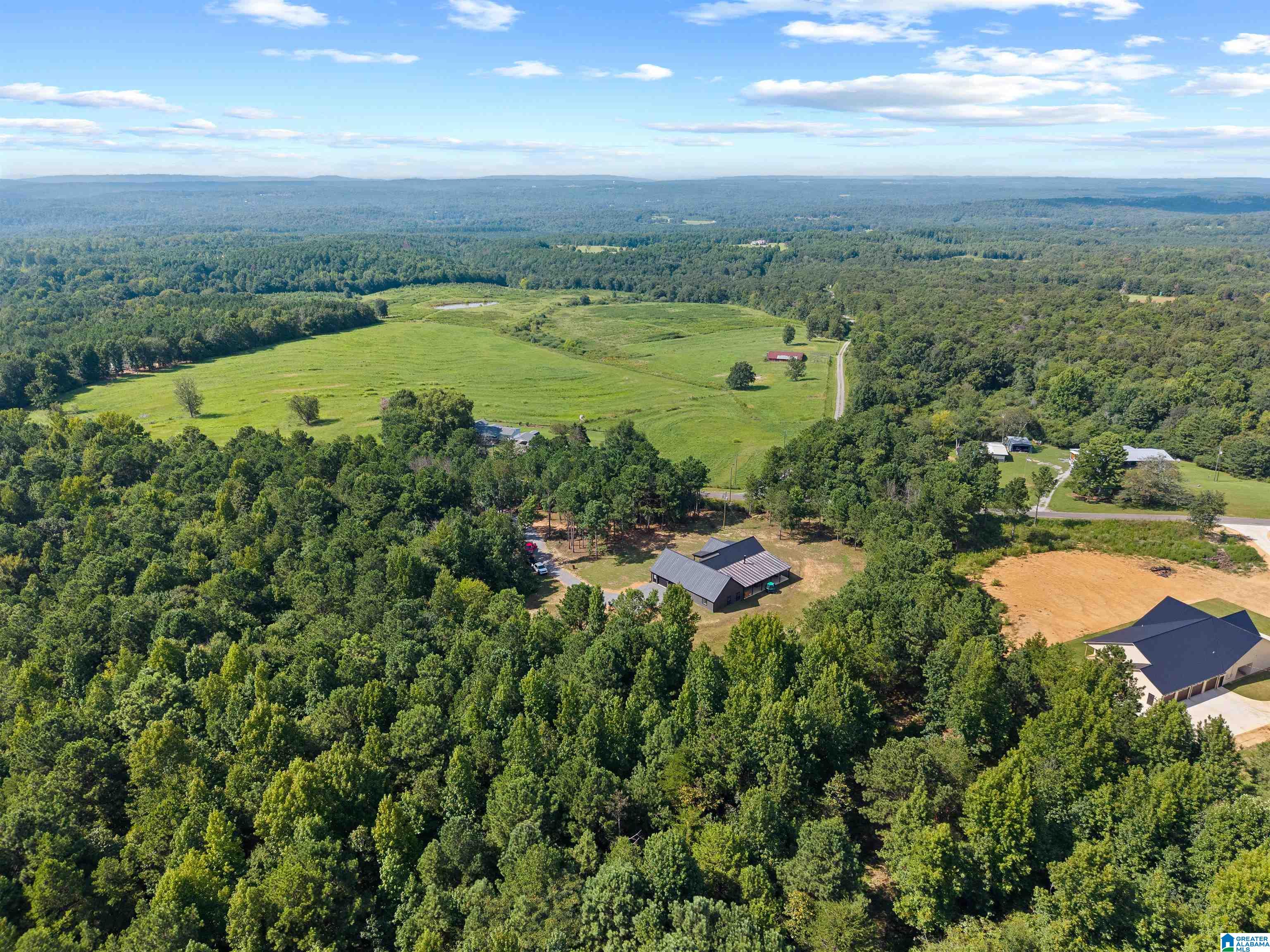 54th image of 508 Jones Chapel Loop, Springville, AL 35146 | MLS# 21462920