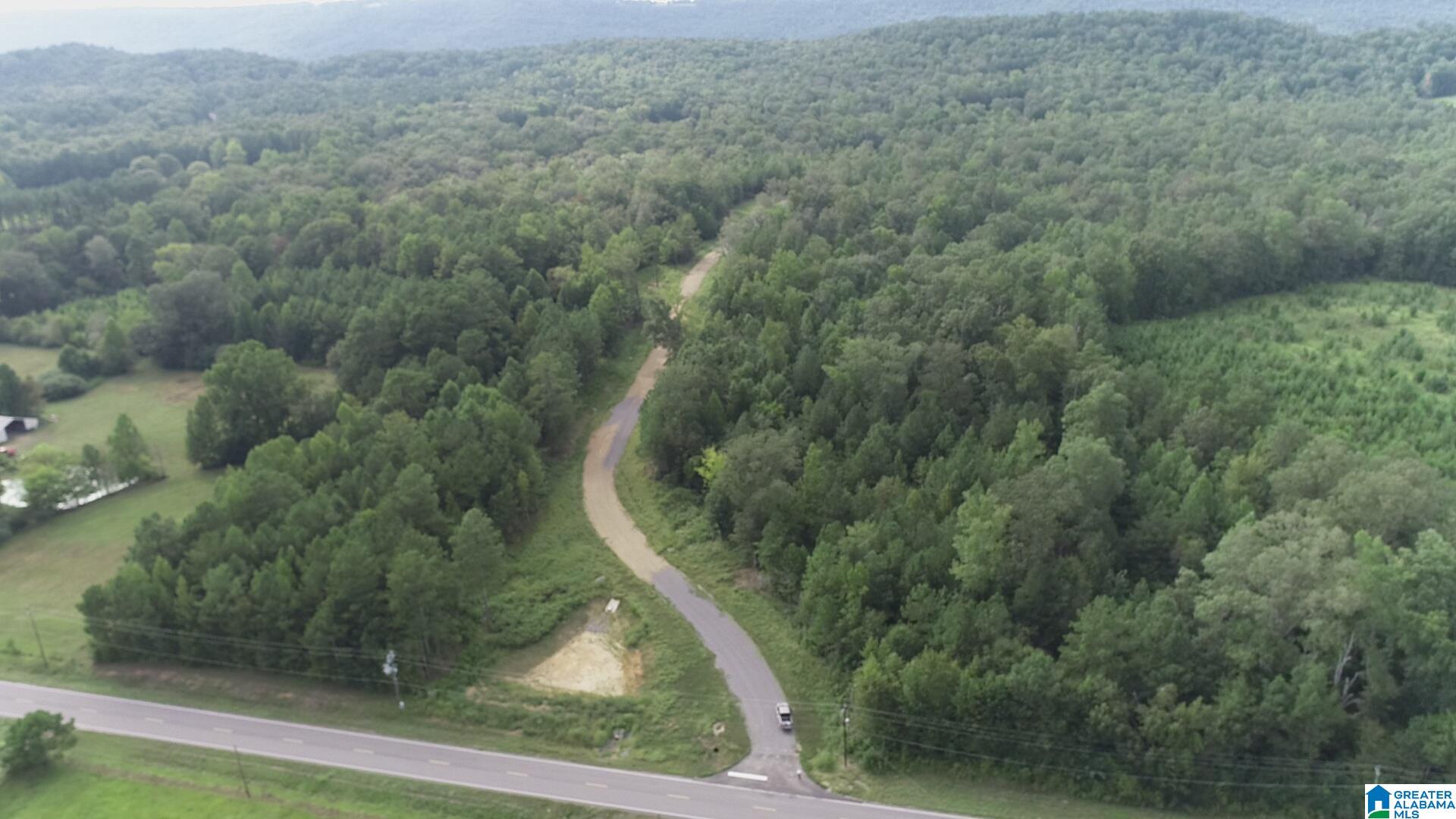 1st image of 20 Scenic Valley Road, Springville, AL 35146 | MLS# 21462921