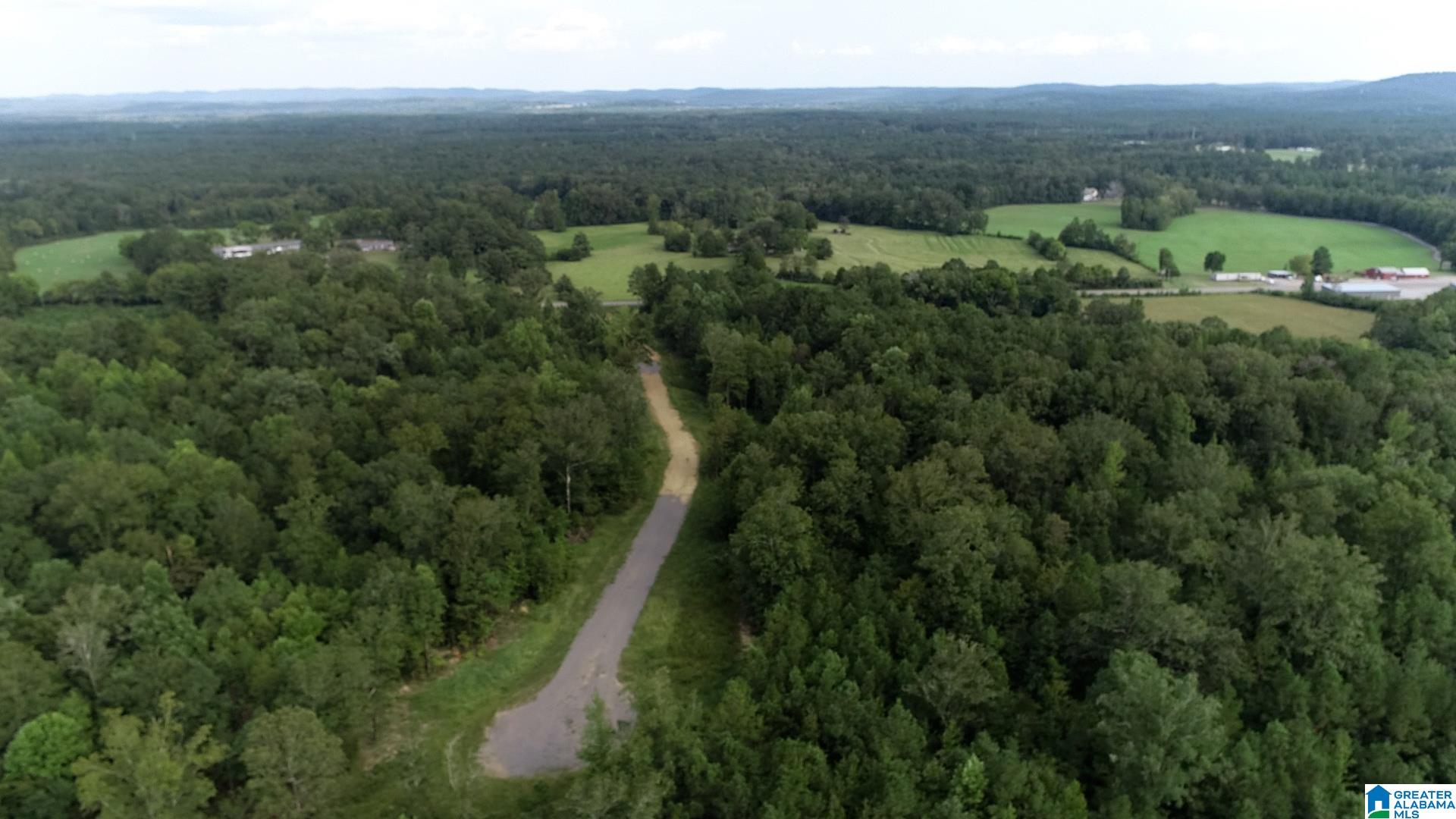 2nd image of 20 Scenic Valley Road, Springville, AL 35146 | MLS# 21462921