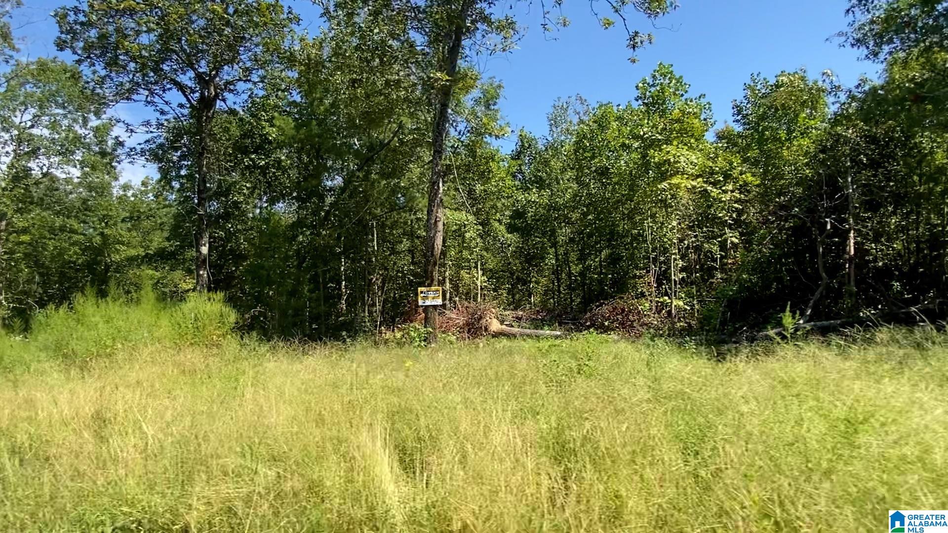 4th image of 20 Scenic Valley Road, Springville, AL 35146 | MLS# 21462921