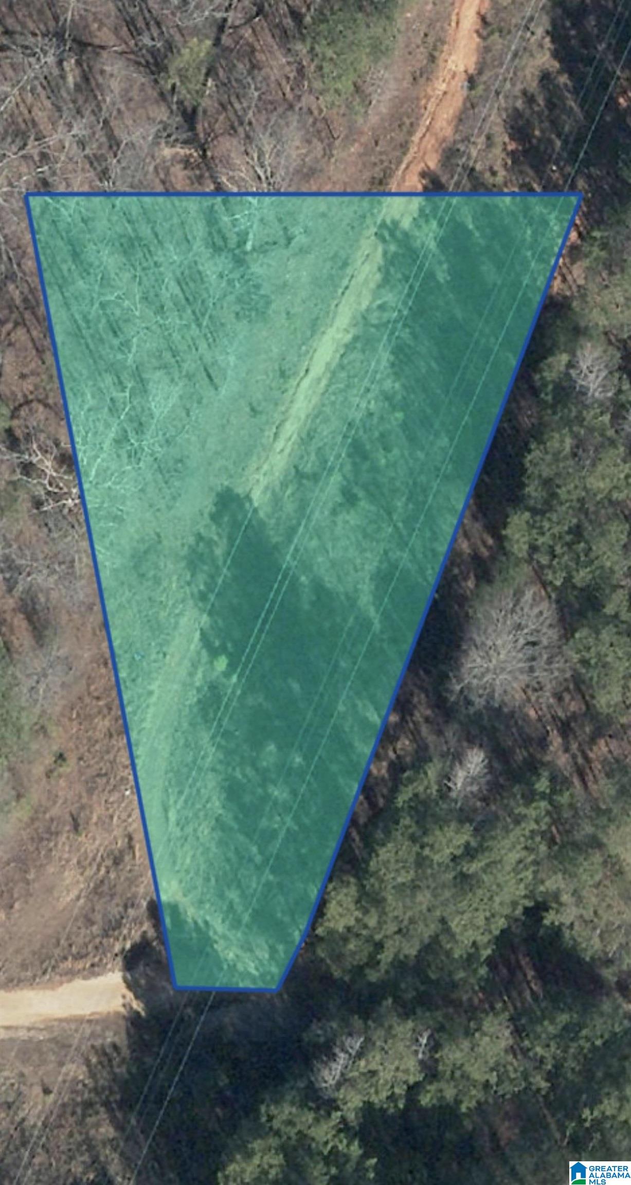 1st image of Twin Pines Dr, Alpine, AL 35014 | MLS# 21462980