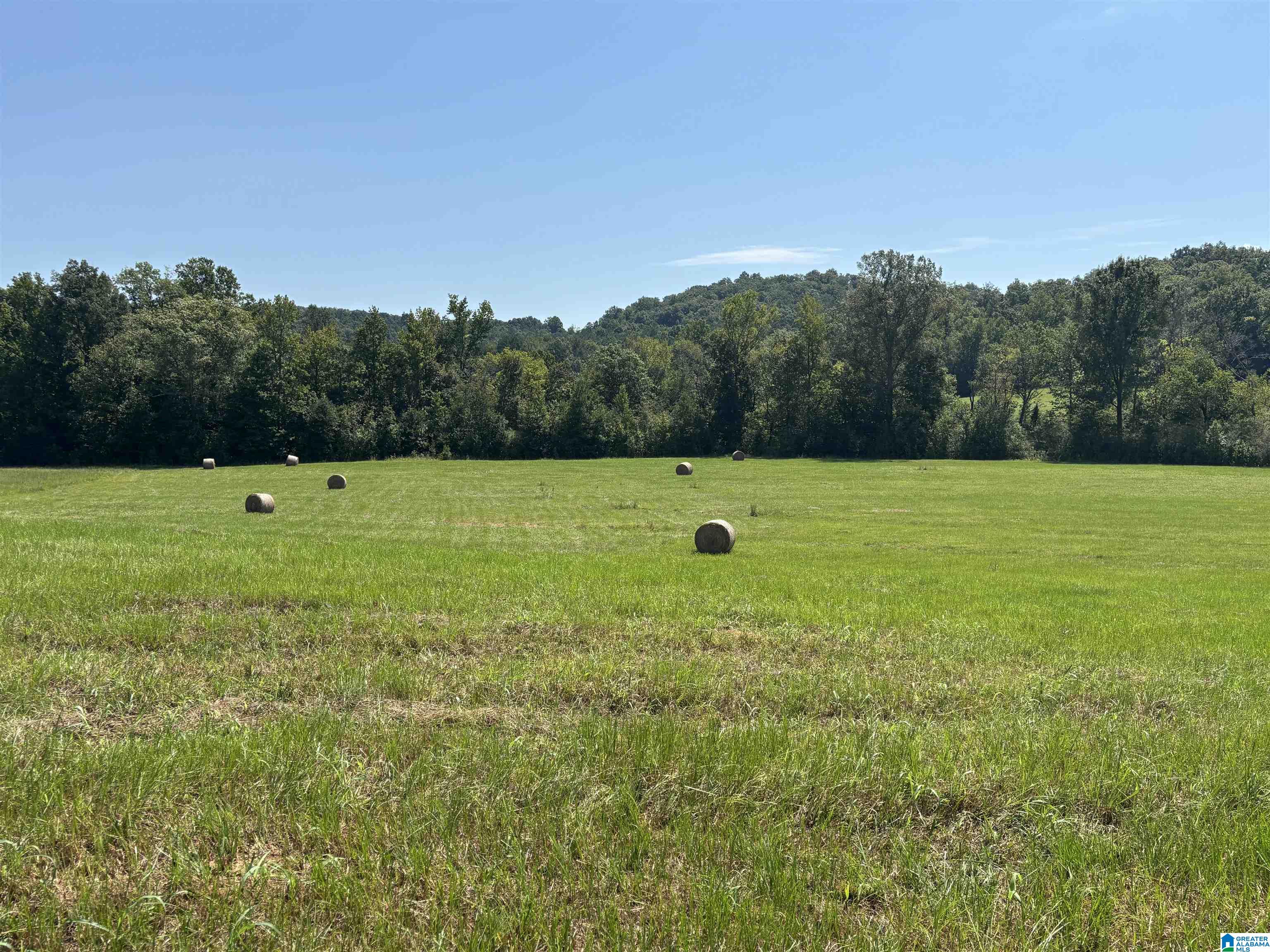 1st image of 6559 Alabama Hwy 174, Springville, AL 35146 | MLS# 21463007