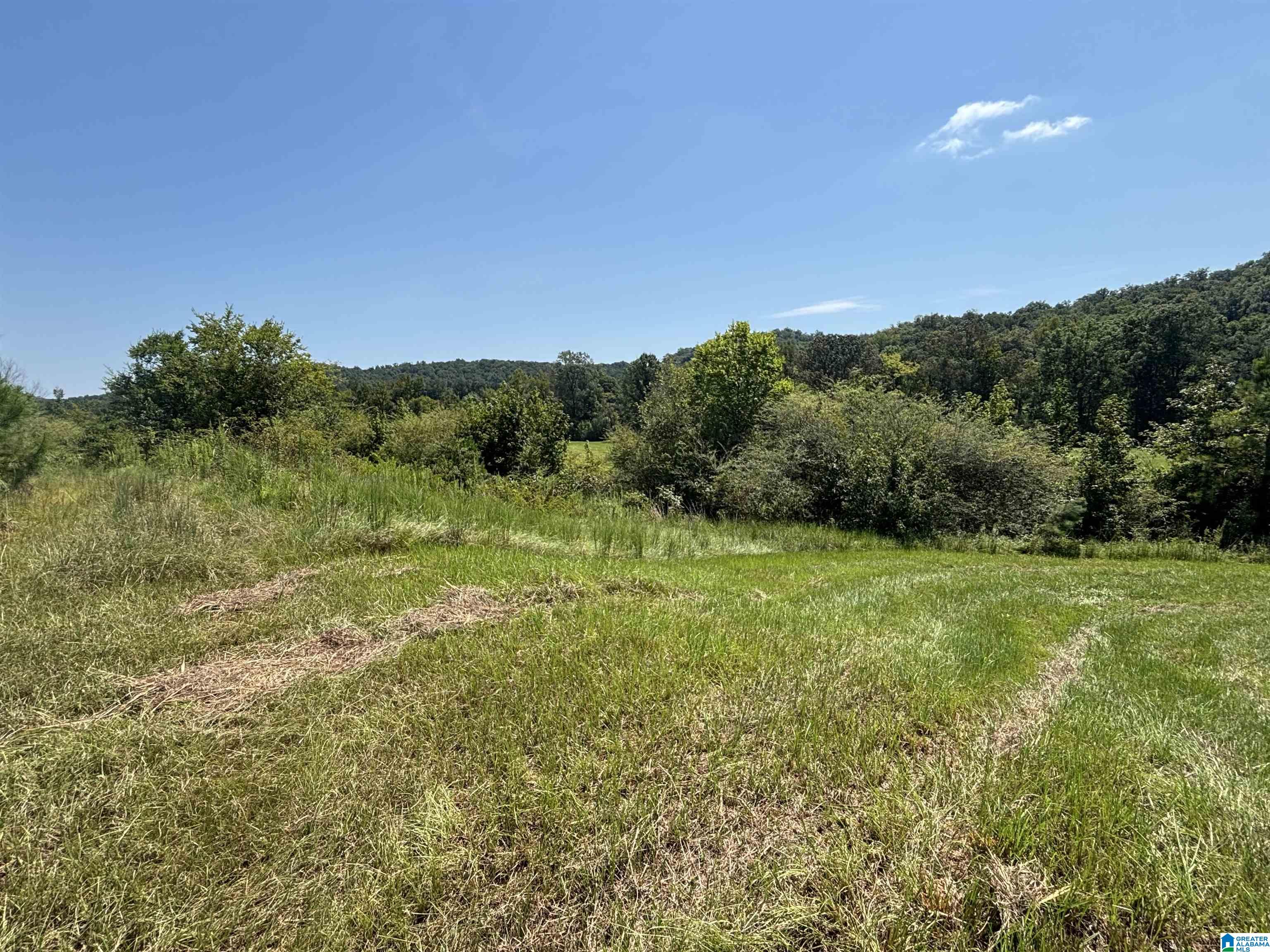 2nd image of 6559 Alabama Hwy 174, Springville, AL 35146 | MLS# 21463007