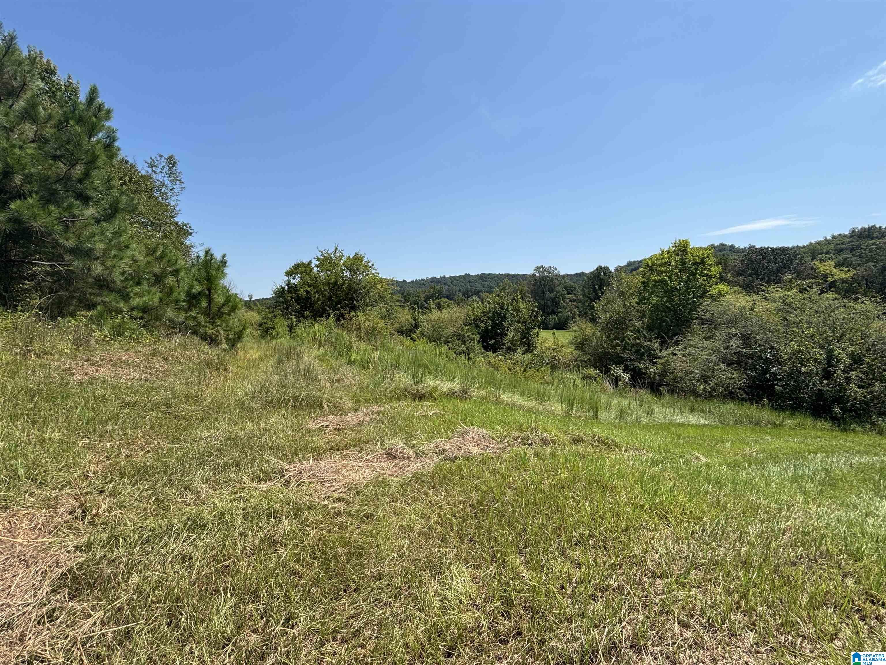 3rd image of 6559 Alabama Hwy 174, Springville, AL 35146 | MLS# 21463007