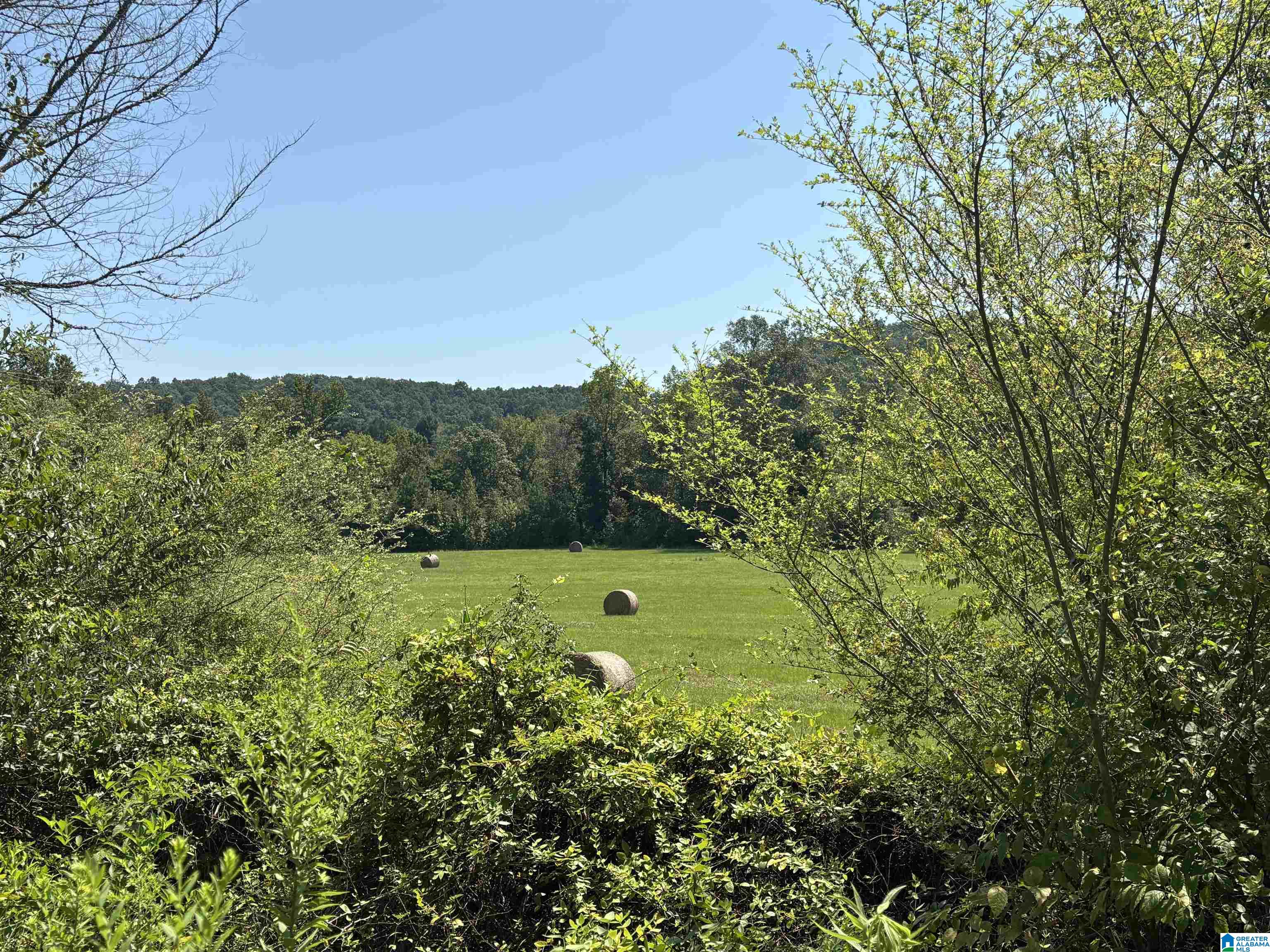 4th image of 6559 Alabama Hwy 174, Springville, AL 35146 | MLS# 21463007