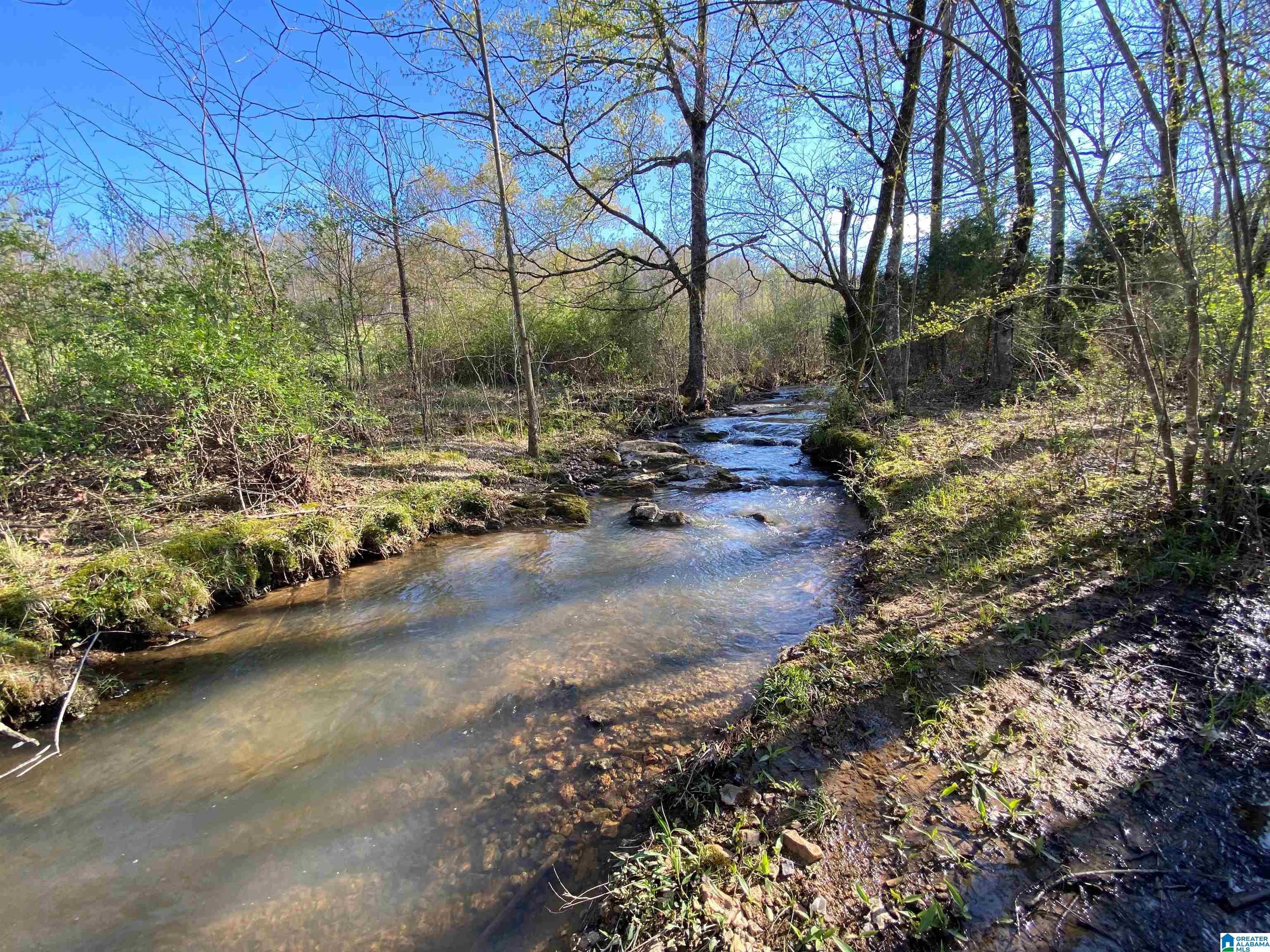 7th image of 6559 Alabama Hwy 174, Springville, AL 35146 | MLS# 21463007