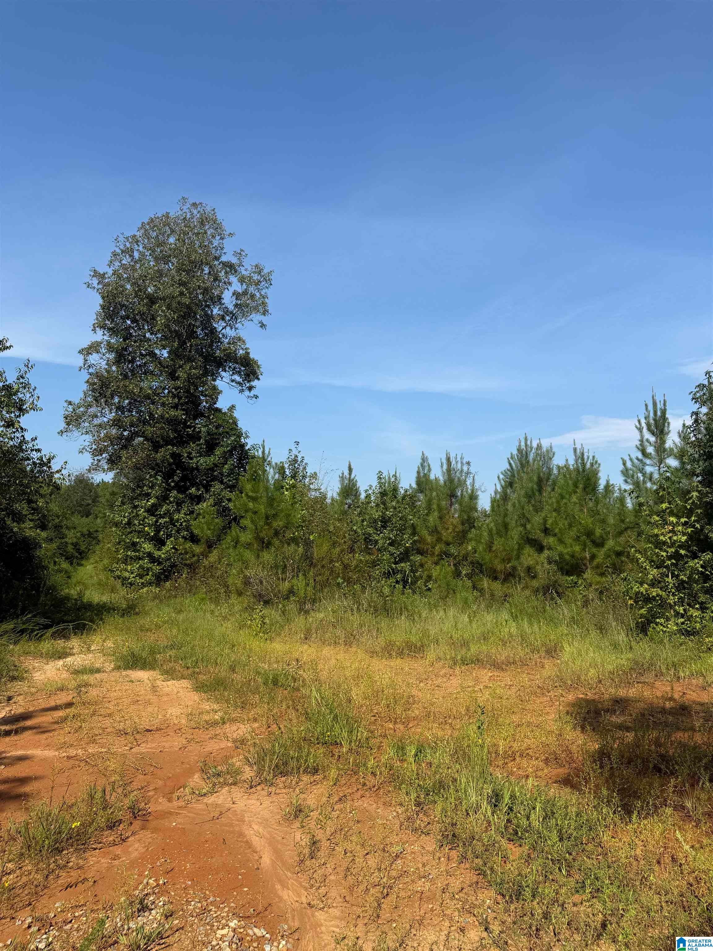 Photo 2 of Land for sale at Lynn Bennett Road, York, AL 36925 | MLS# 21463025 | Listing updated on 2026-08-25