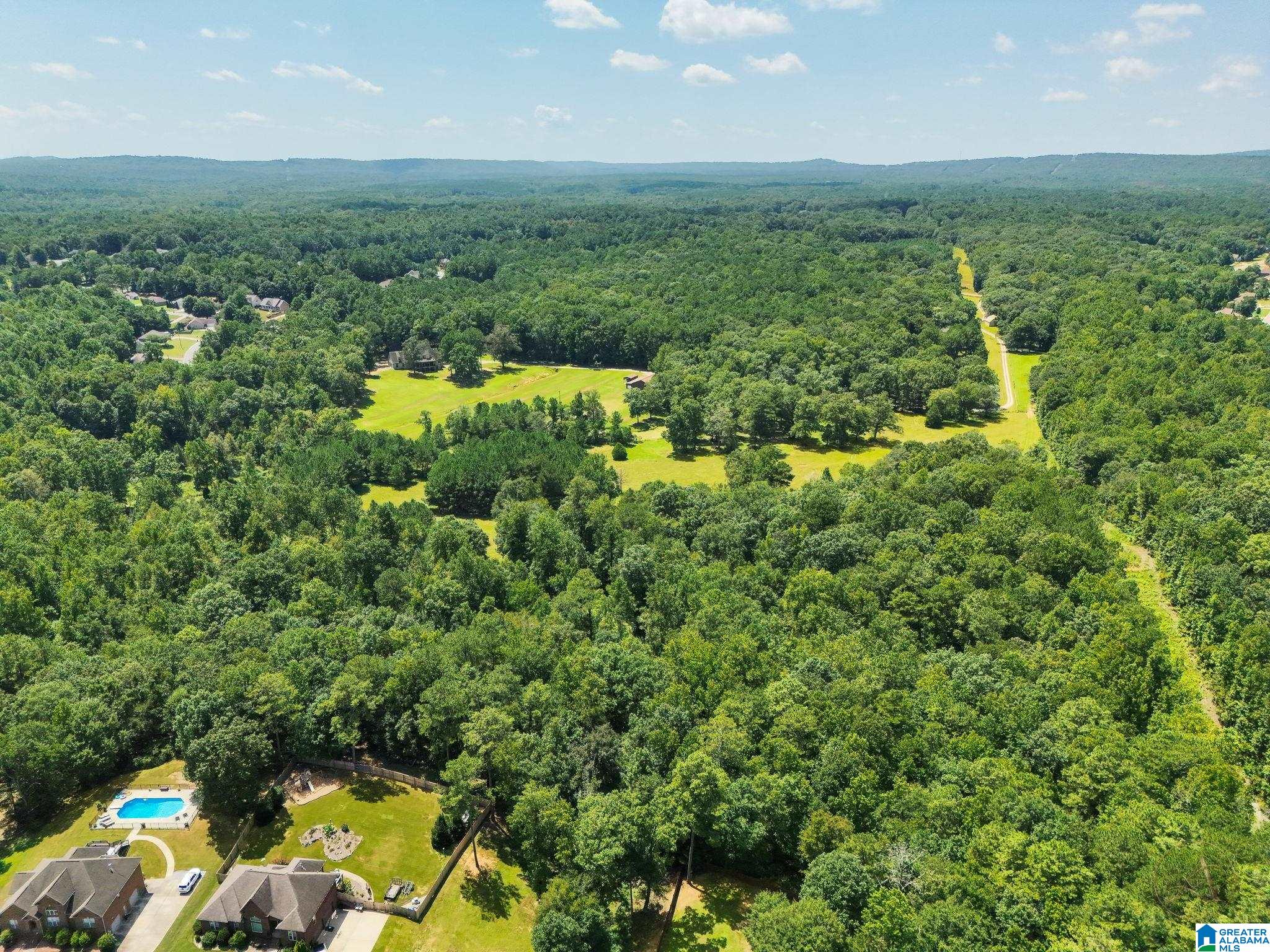 3rd image of 64291 Hwy 39, Chelsea, AL 35043 | MLS# 21463072