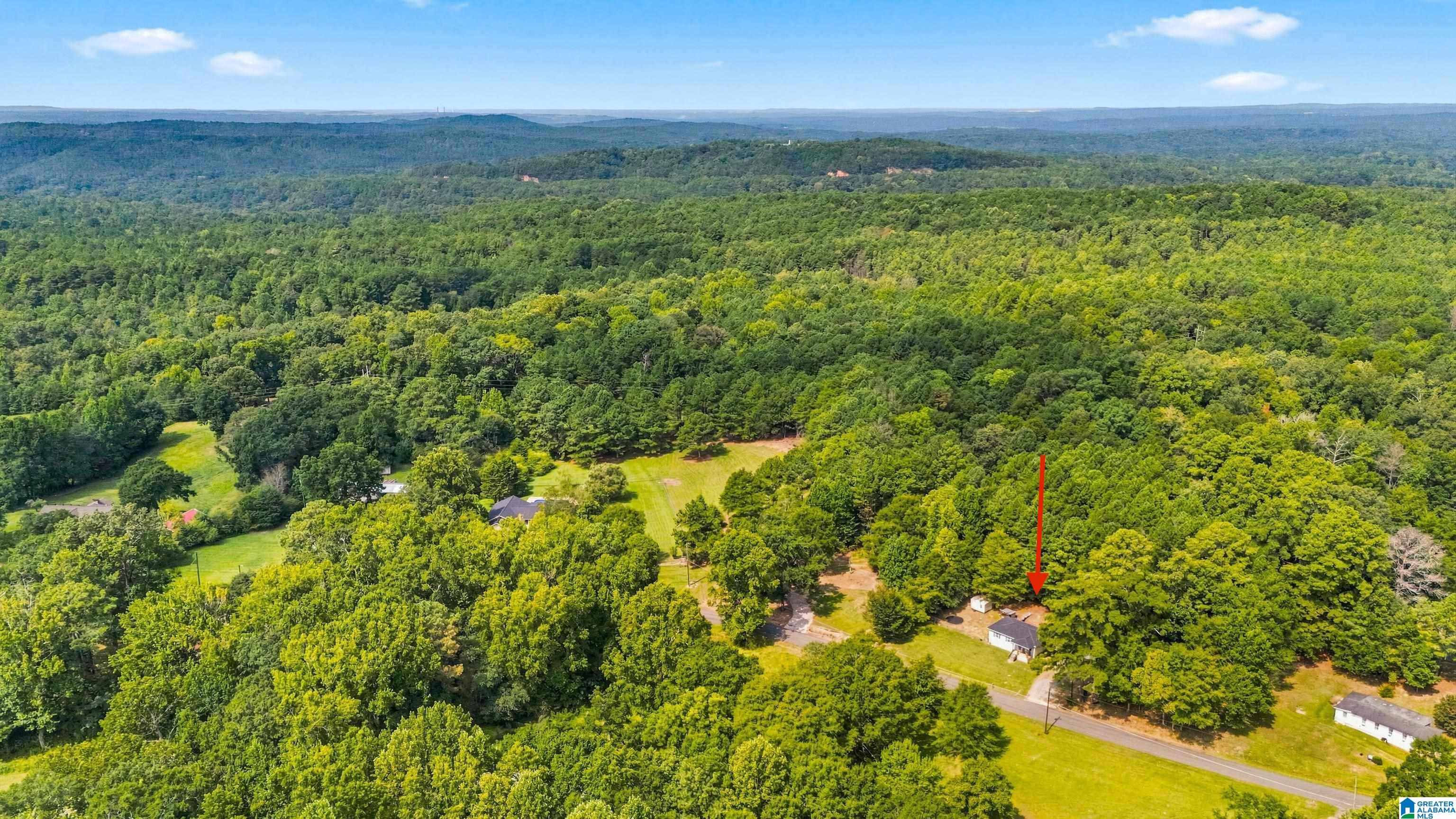 26th image of 1511 Campbell Loop Road, Mount Olive, AL 35117 | MLS# 21463090