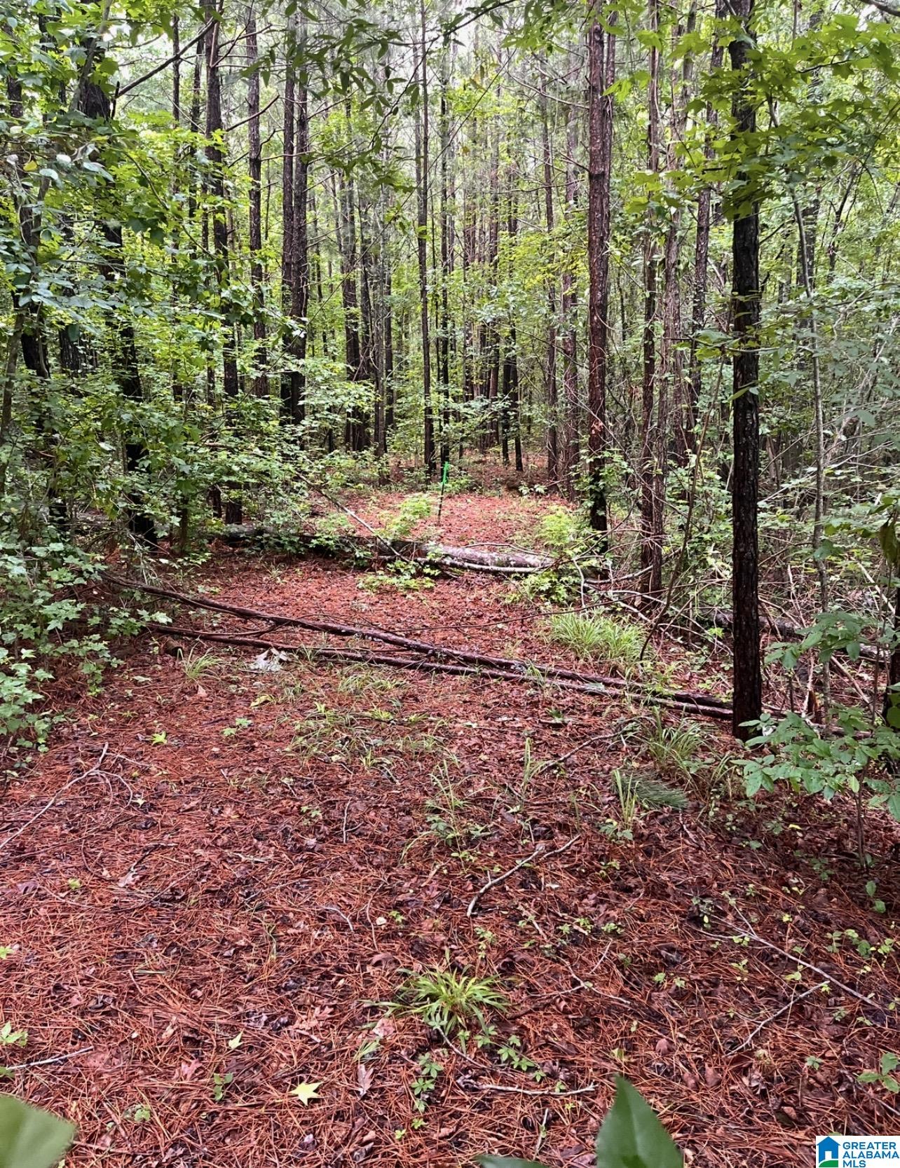 3rd image of Lot 17a Old Forest Dr, Odenville, AL 35120 | MLS# 21463096