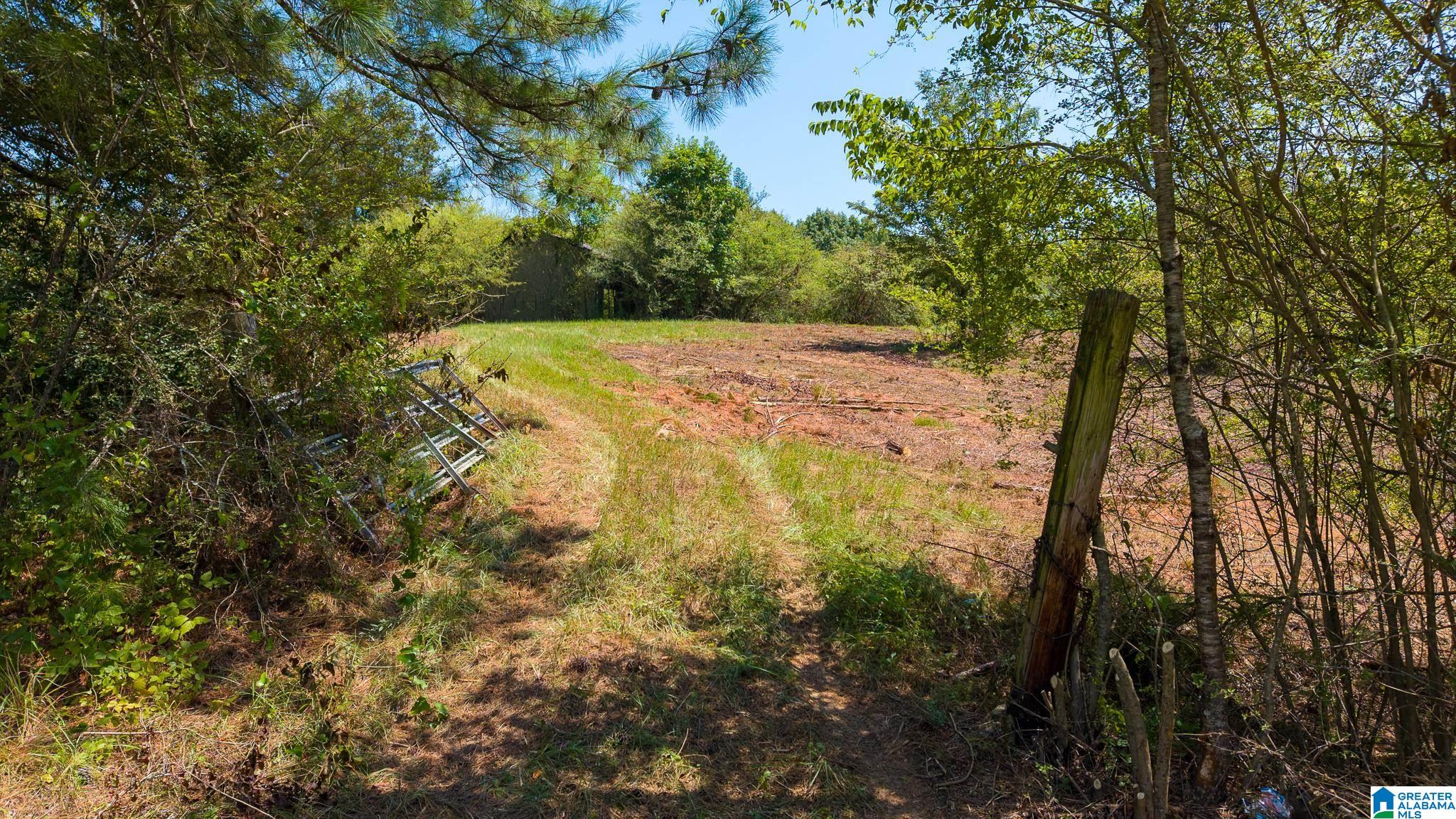 4th image of 2750 Dry Creek Road, Pell City, AL 35125 | MLS# 21463124