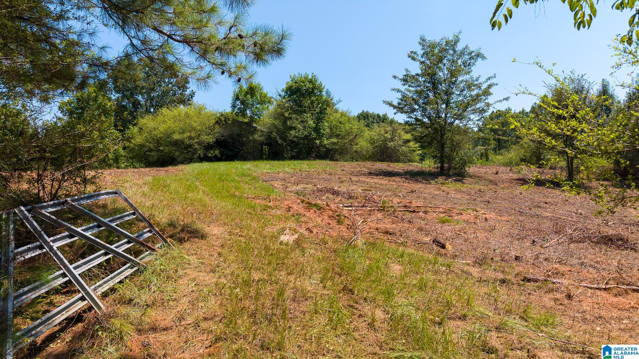 5th image of 2750 Dry Creek Road, Pell City, AL 35125 | MLS# 21463124