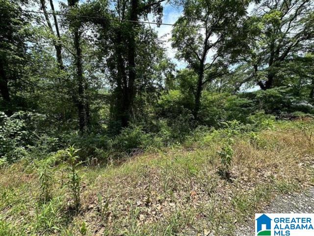 1st image of 2231 43rd Avenue N, Birmingham, AL 35207 | MLS# 21463169